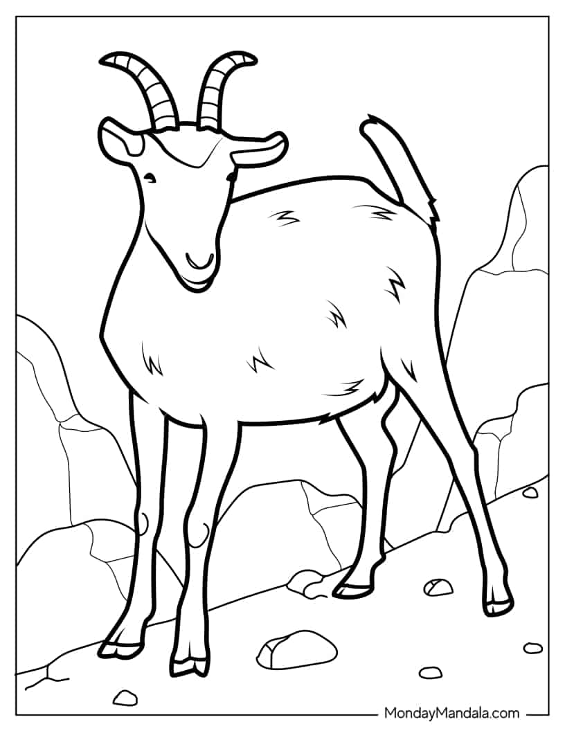 Wild Mountain Goat coloring page