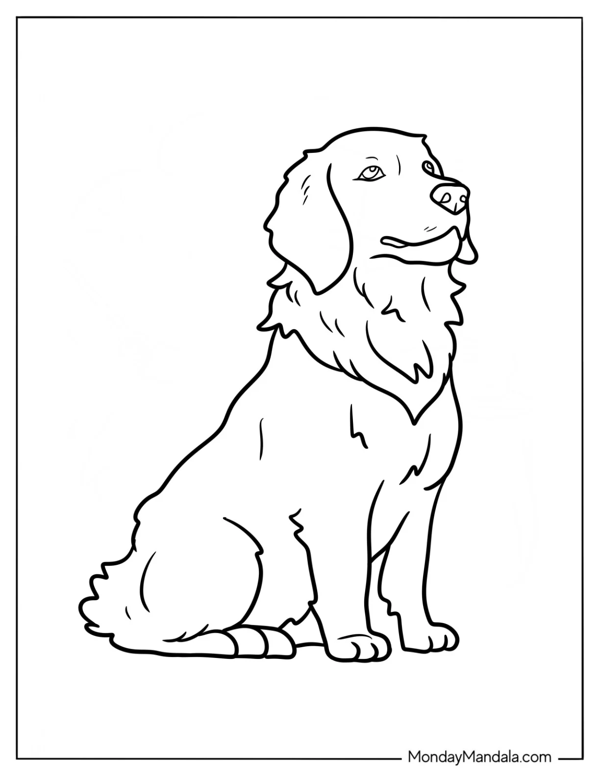 Adult Golden Retriever Coloring Page Sitting coloring page