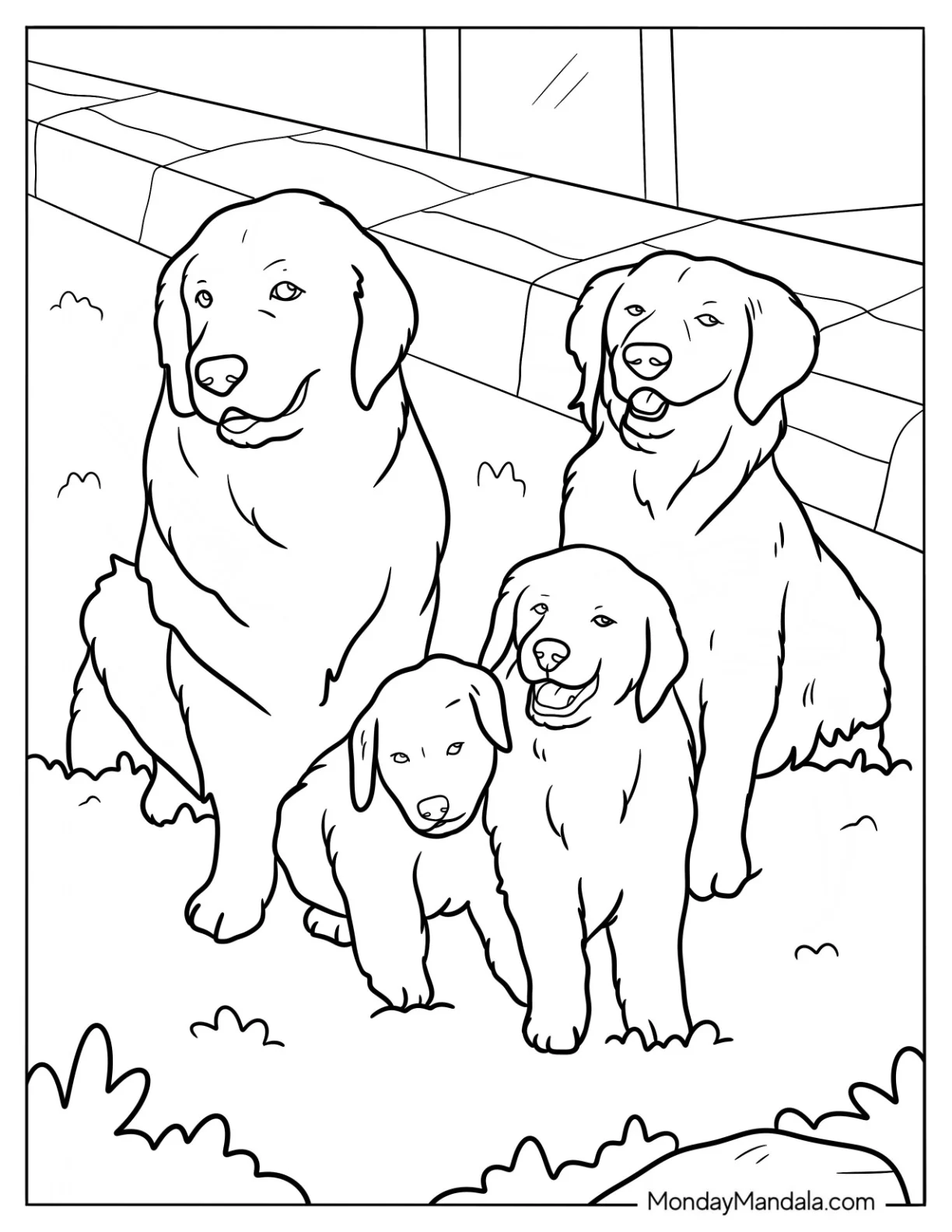 Golden Retriever Coloring Page Family In The Backyard coloring page