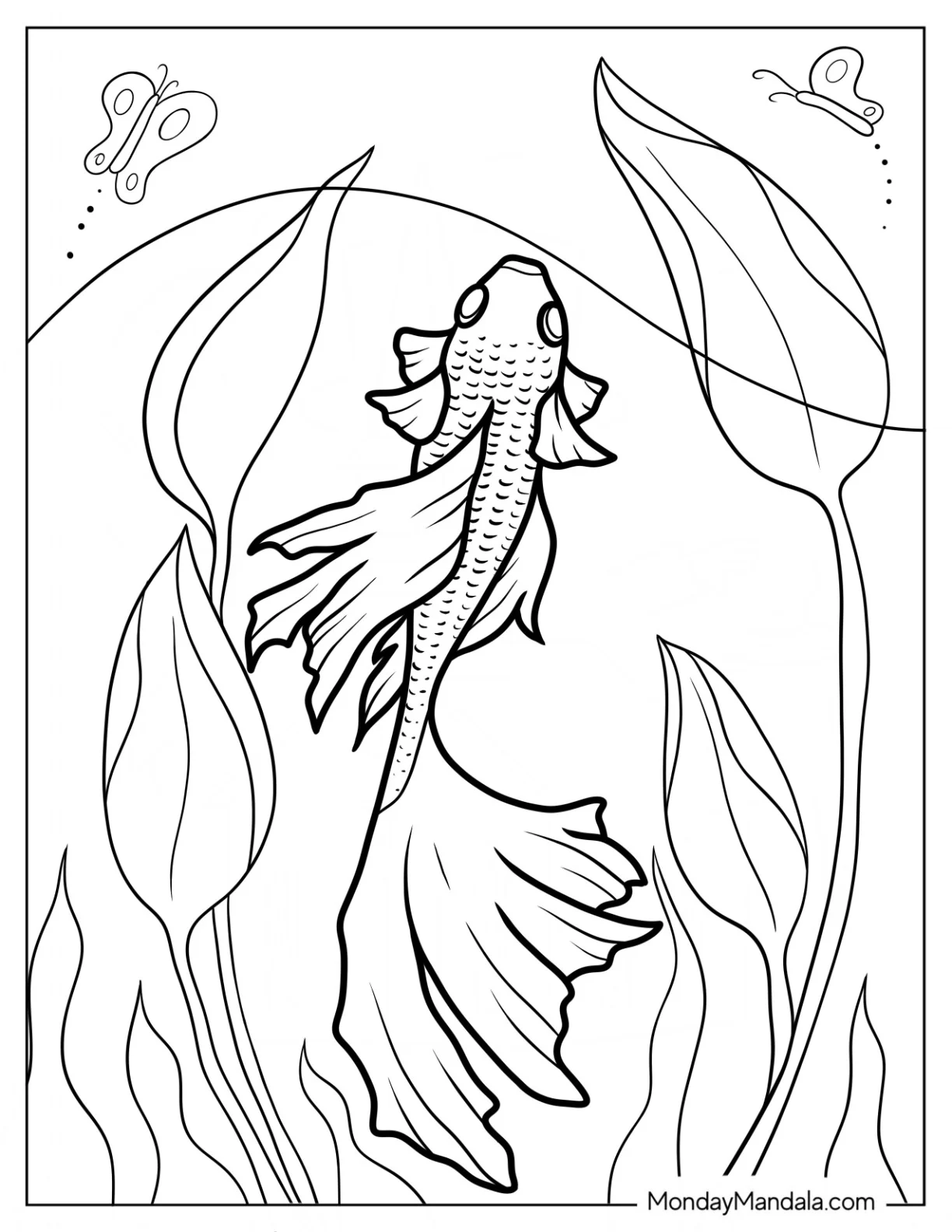 Top View Of Veiltail Goldfish Coloring Page coloring page