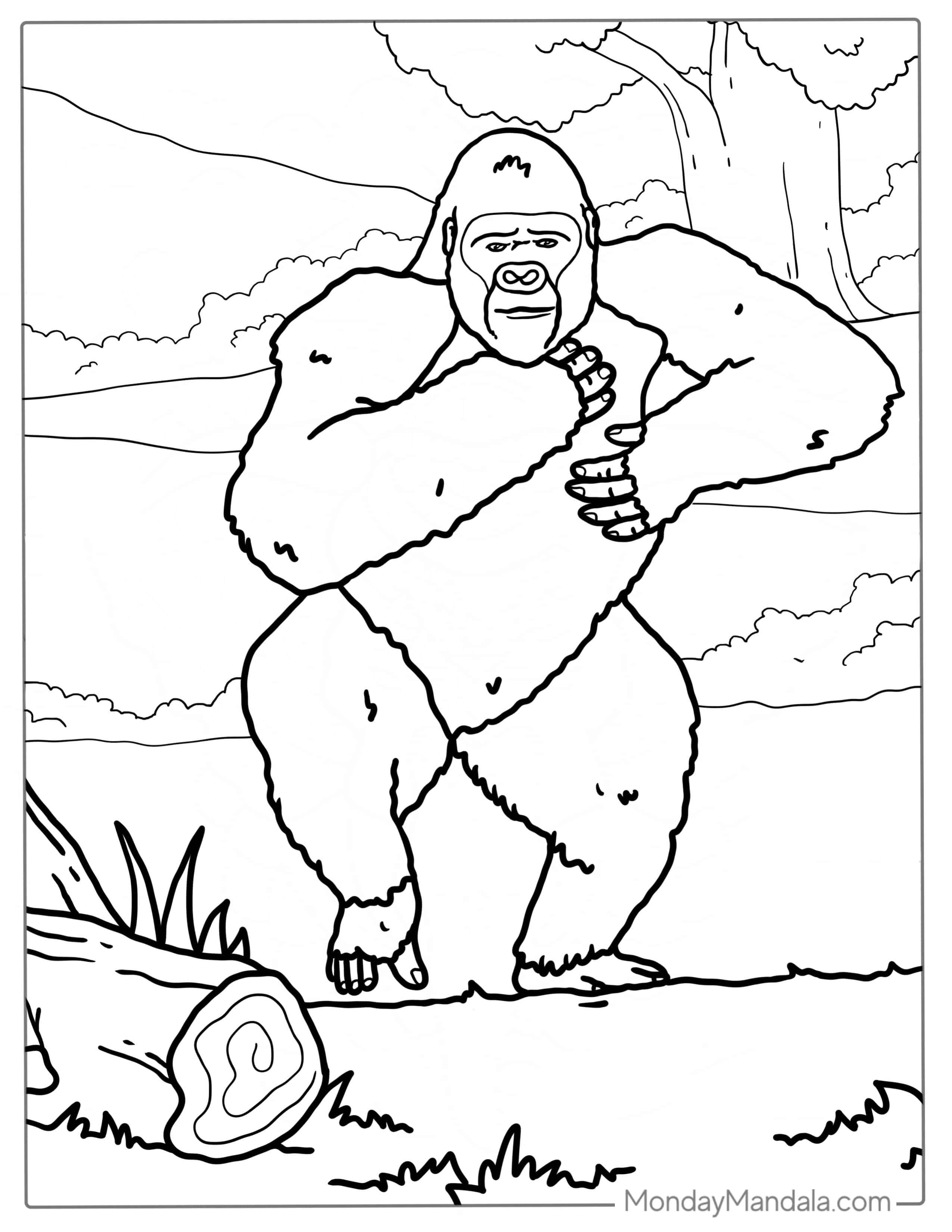 Coloring Page Of Gorilla Chest Beating coloring page — printable line art