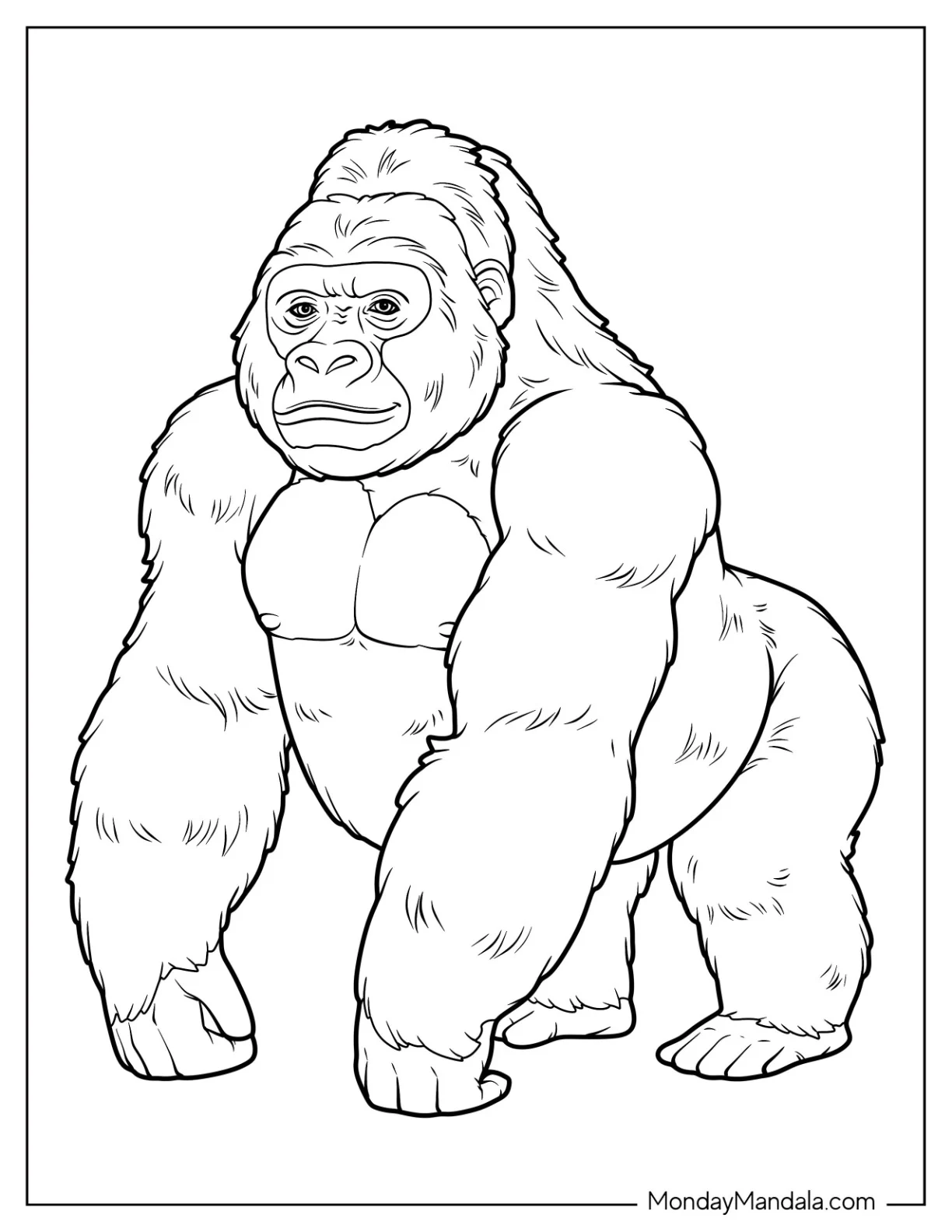 Powerful Adult Gorilla Coloring Page with Muscular Build coloring page — printable line art
