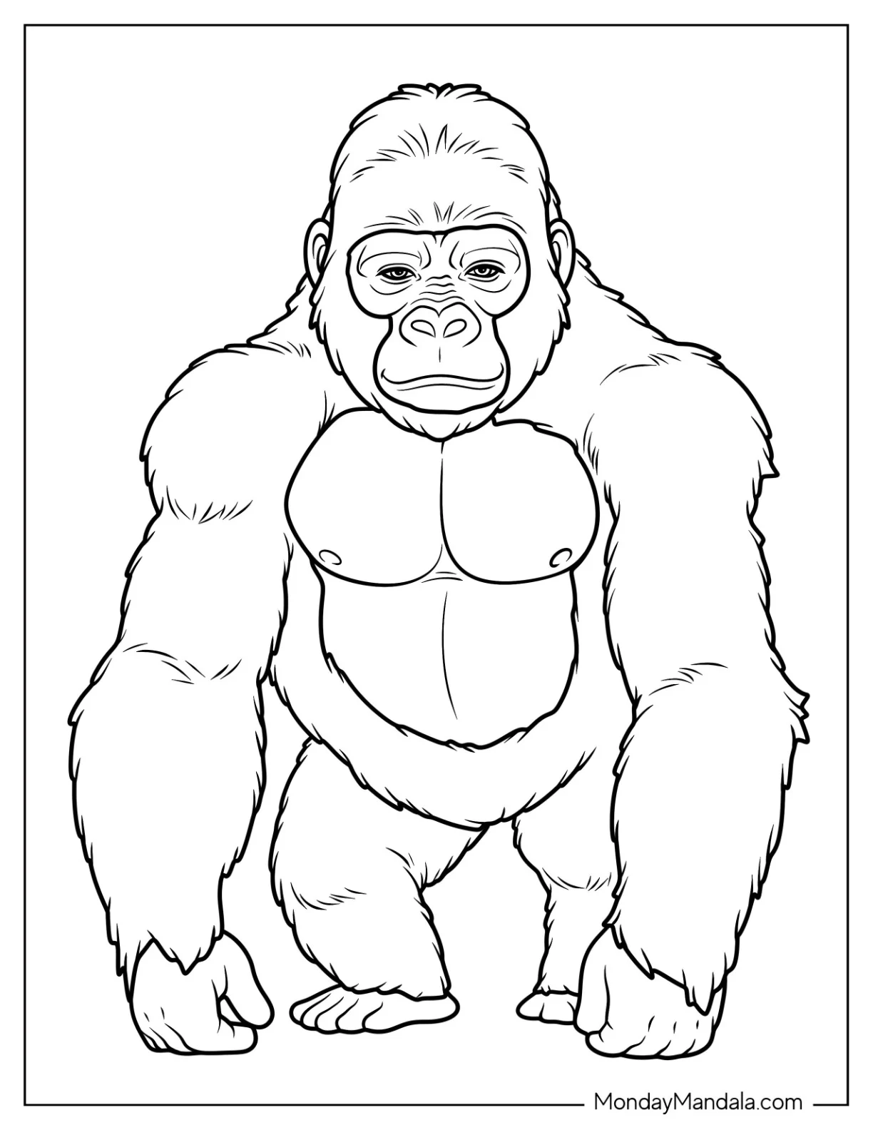 Strong Gorilla Coloring Page Standing Upright with a Calm Gaze coloring page — printable line art