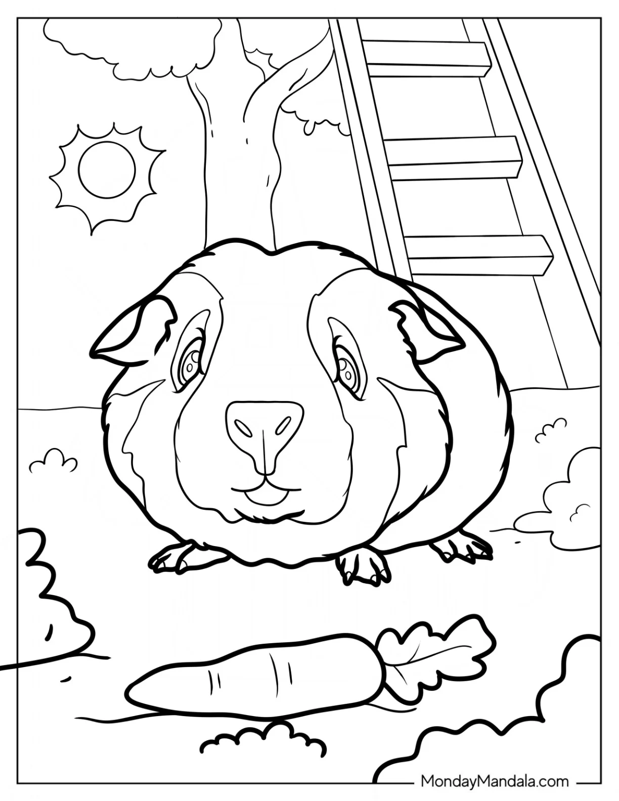 Close Up Of A Guinea Pig Coloring Page Under The Sun coloring page