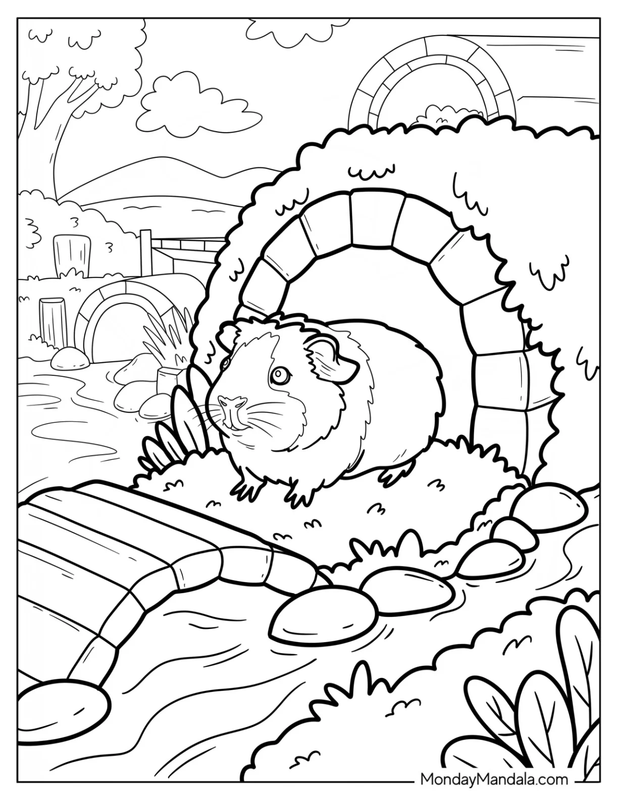 Curious Guinea Pig Coloring Page Under a Garden Tunnel by a Stream coloring page