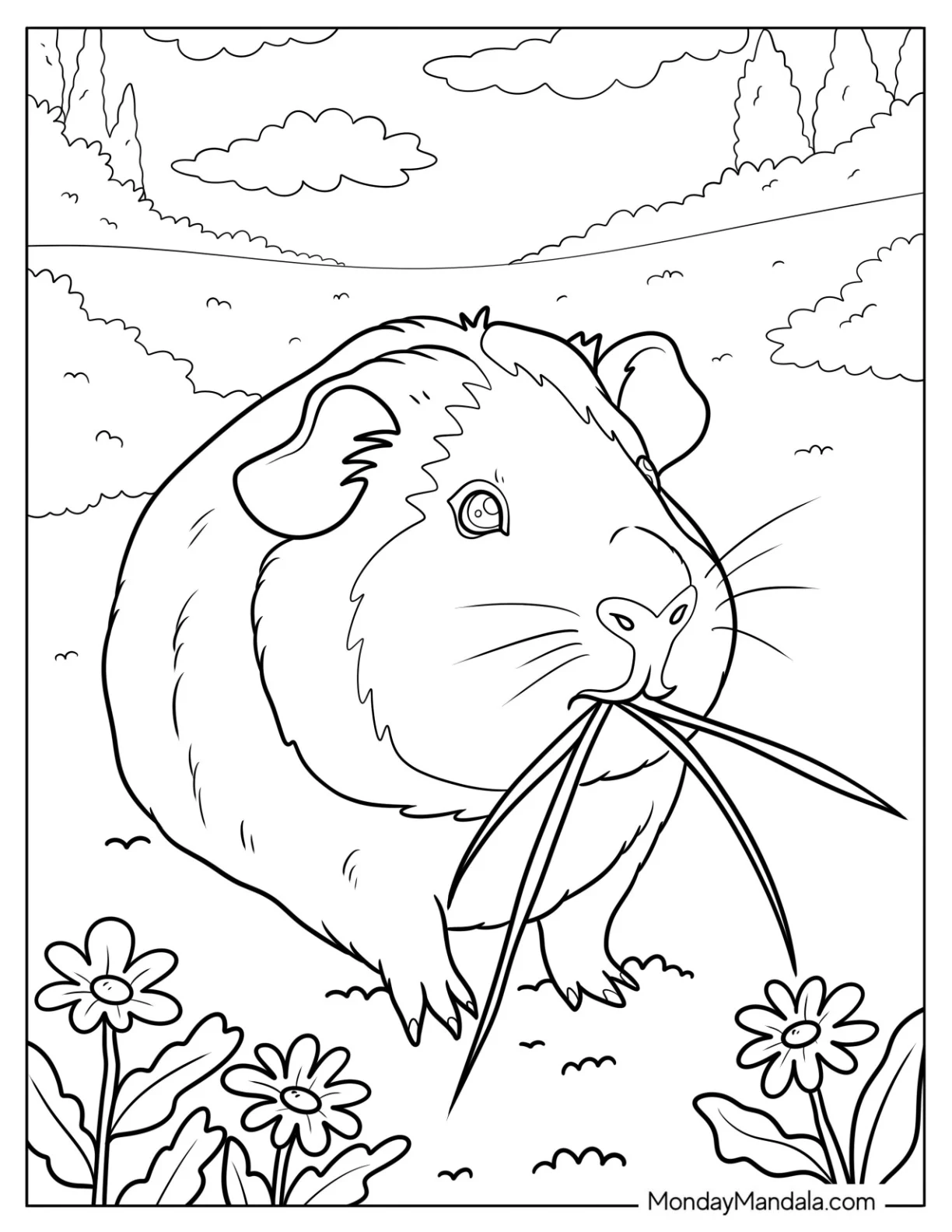 Guinea Pig Coloring Page Munching on Grass in a Field for Kids coloring page