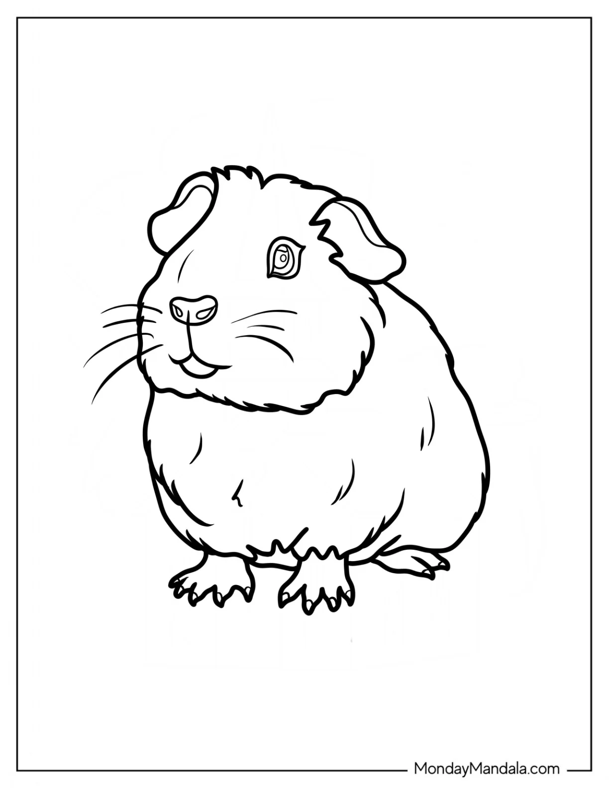 Guinea Pig Coloring Page Showing Paws coloring page