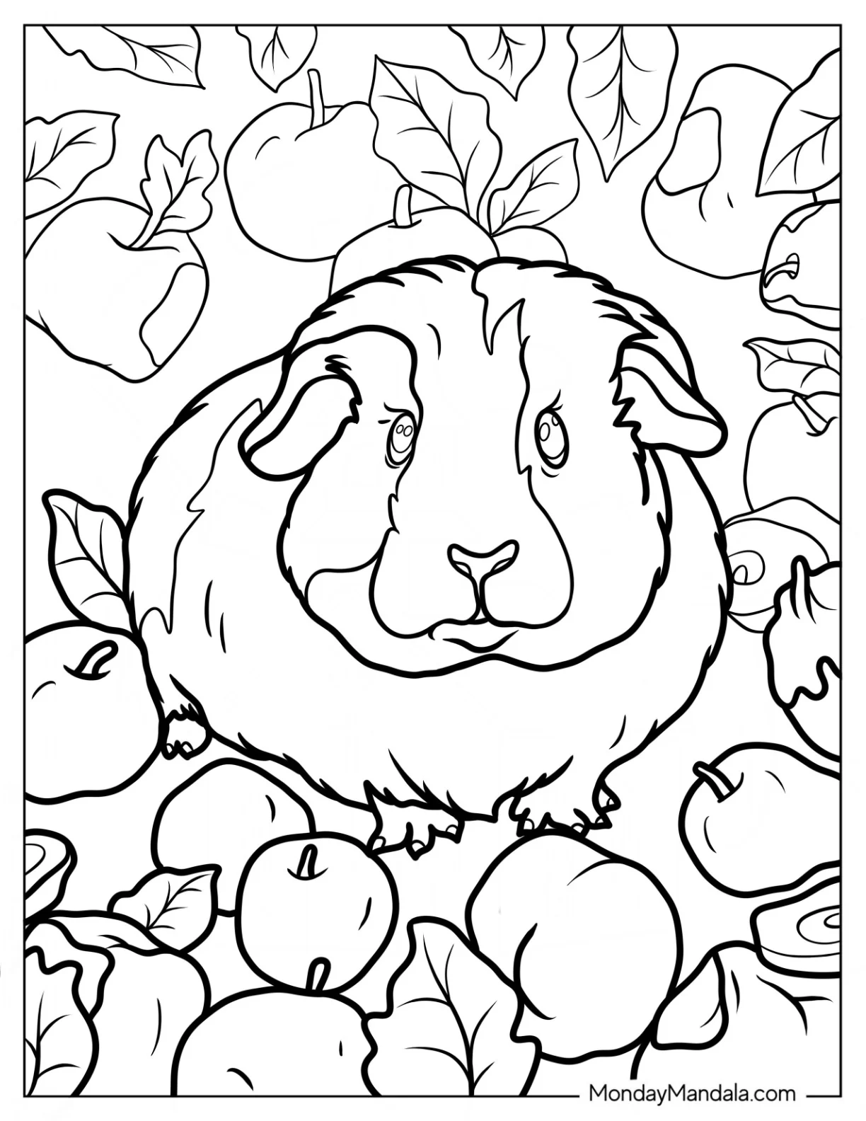 Guinea Pig Coloring Page Surrounded By Apples coloring page