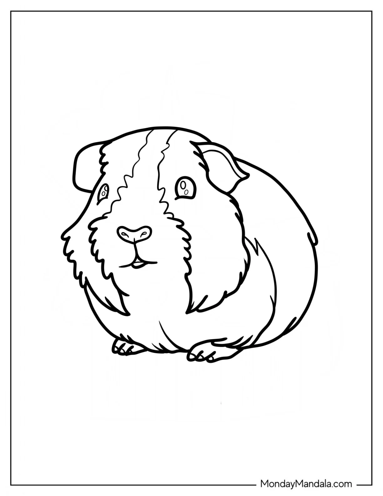 Simple Realistic Guinea Pig Coloring Page coloring page — printable line art