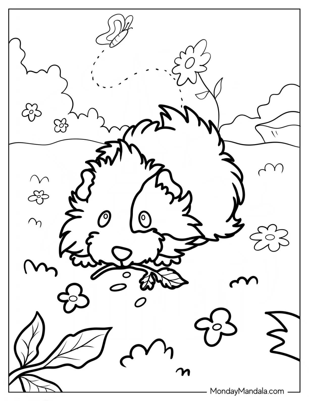 Small Fluffy Guinea Pig Coloring Page Nibbling On A Leaf coloring page