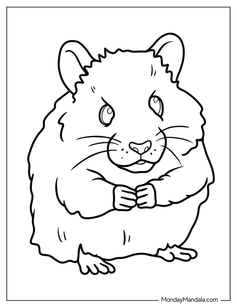 Furry Hamster Coloring Sheet For Kids coloring page — printable line art
