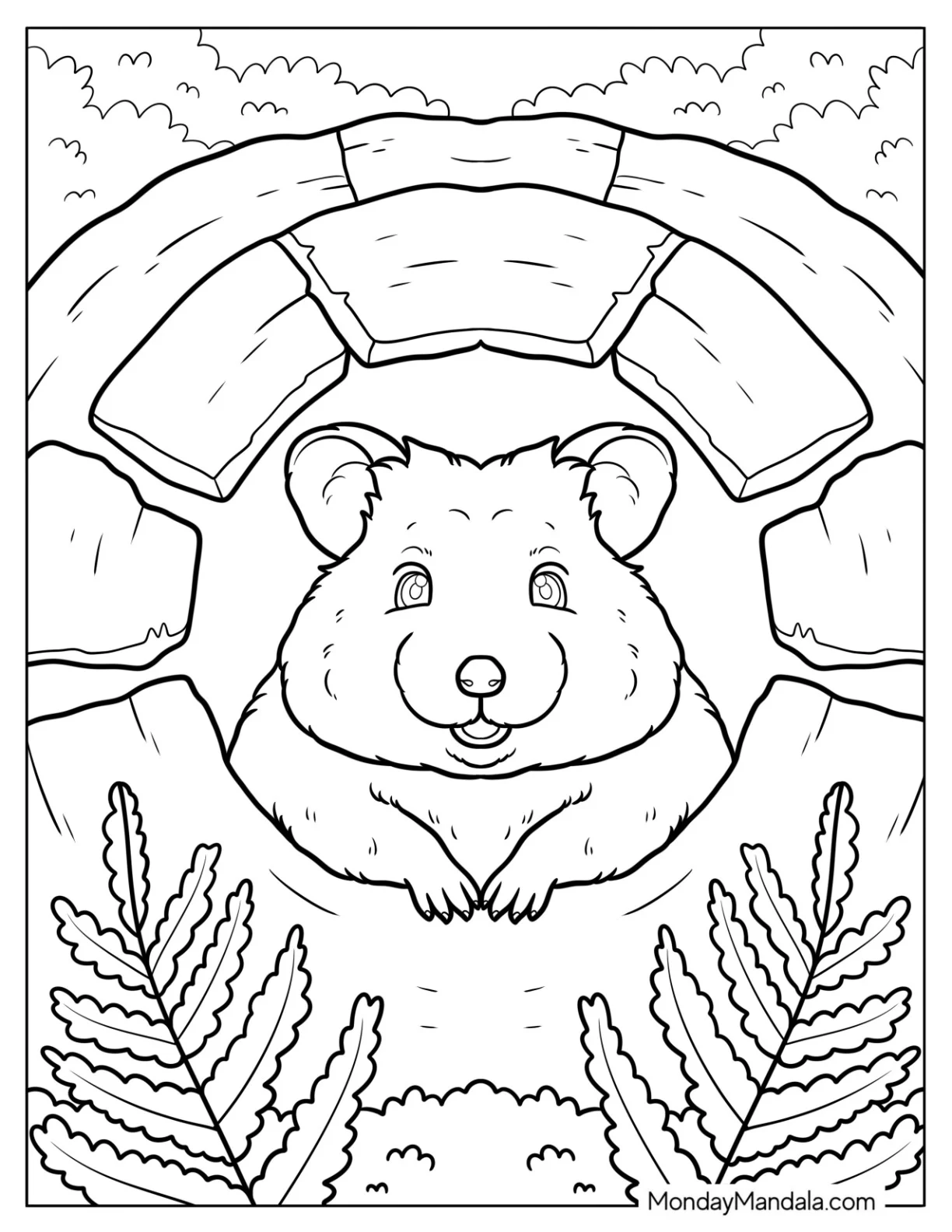 Hamster Coloring Page Peeking Out from a Cozy Stone Burrow Surrounded by Ferns coloring page