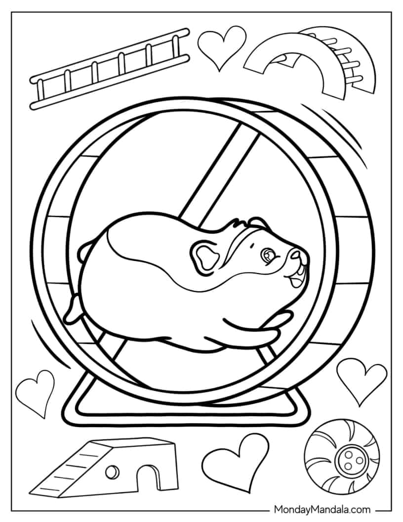 Hamster Running In Wheel coloring page — printable line art