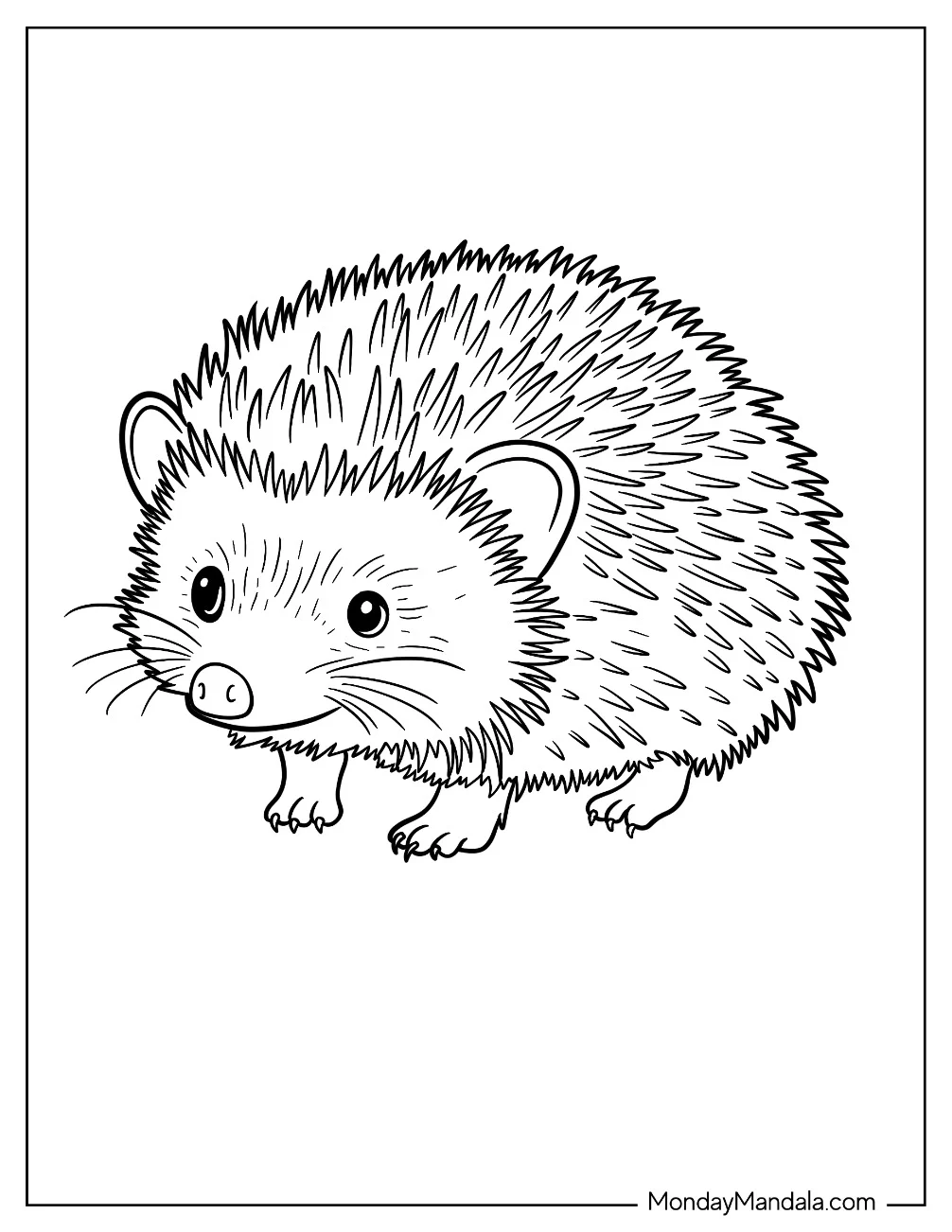 Detailed Little Hedgehog Coloring Page with Long Whiskers coloring page