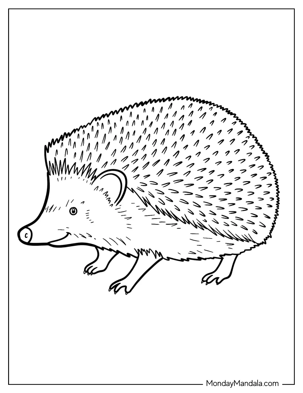 Side View of Realistic Hedgehog Coloring Page coloring page
