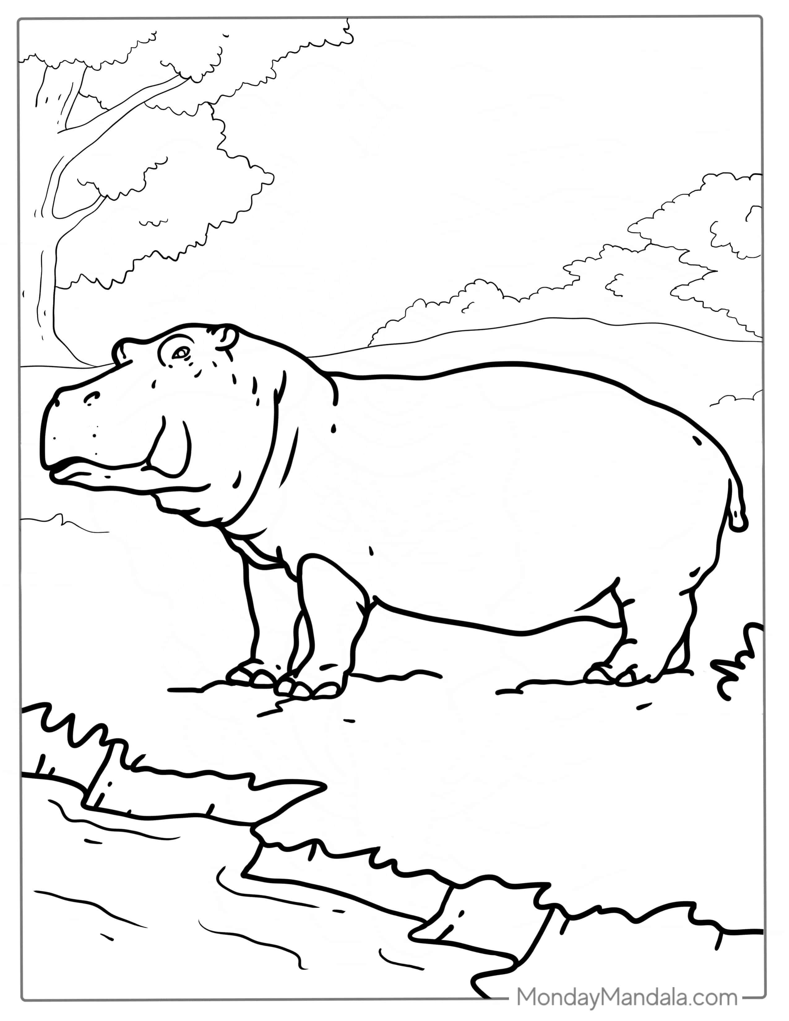 Hippo About To Go In Water To Cool Down coloring page — printable line art