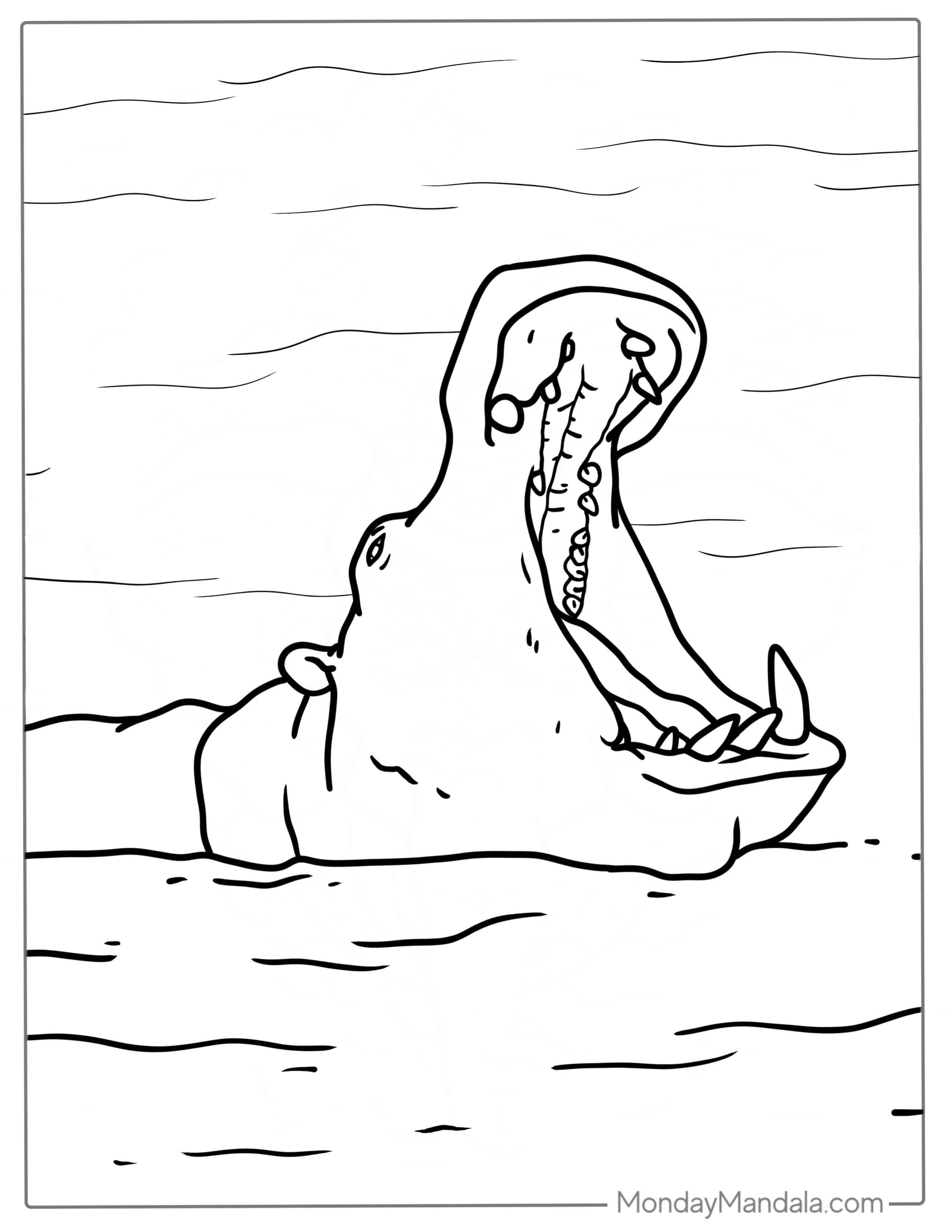 Hippo With Its Mouth Wide Open Showing Teeth coloring page — printable line art