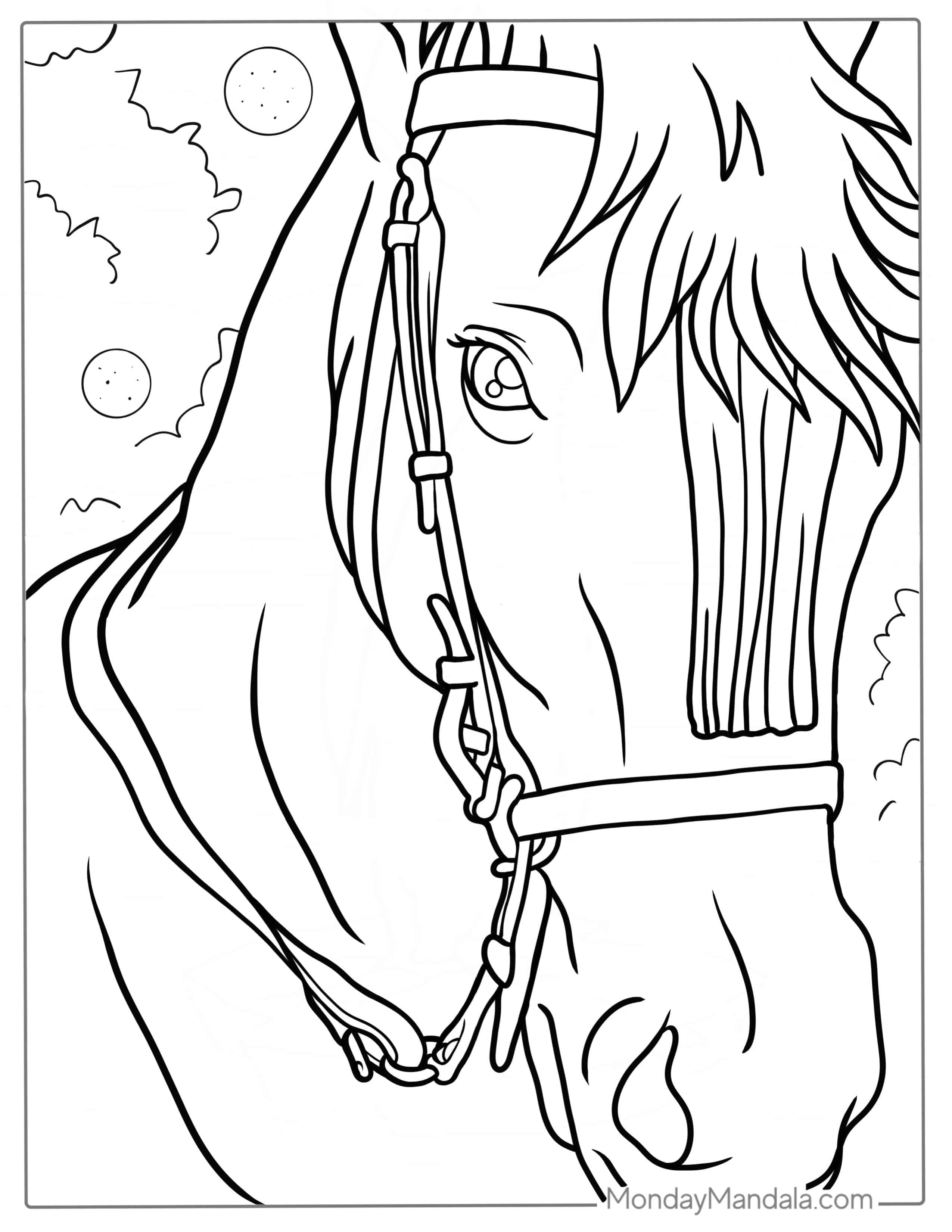 Close Up Of Horse Face Coloring Page coloring page — printable line art