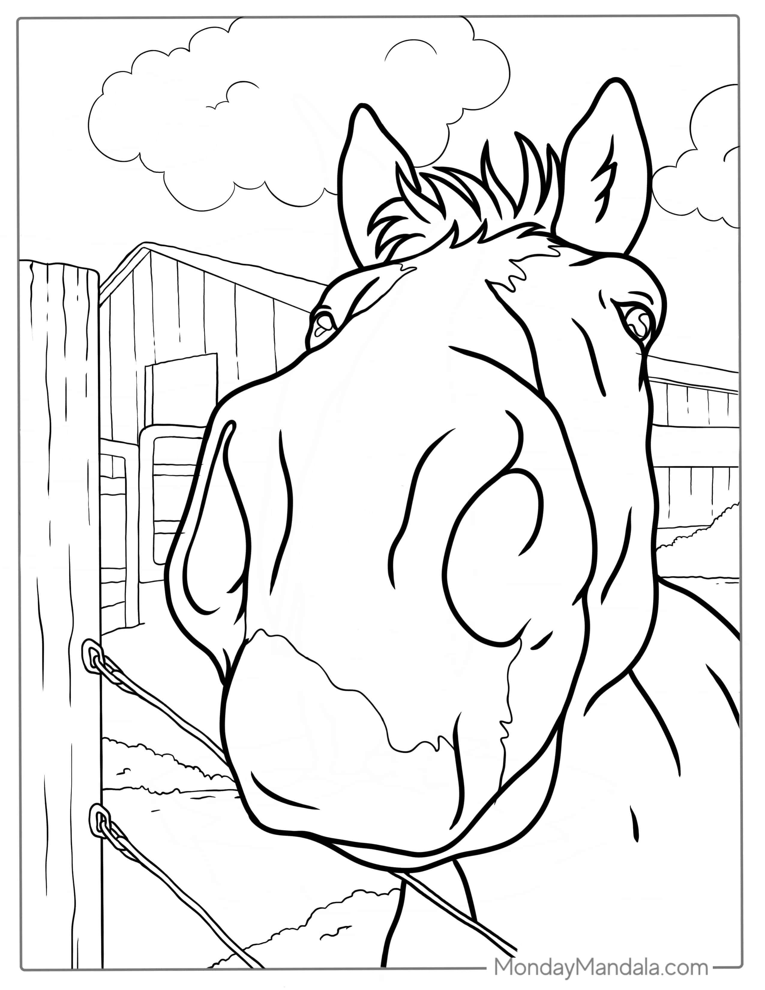 Close Up Of Horse Nose To Color coloring page