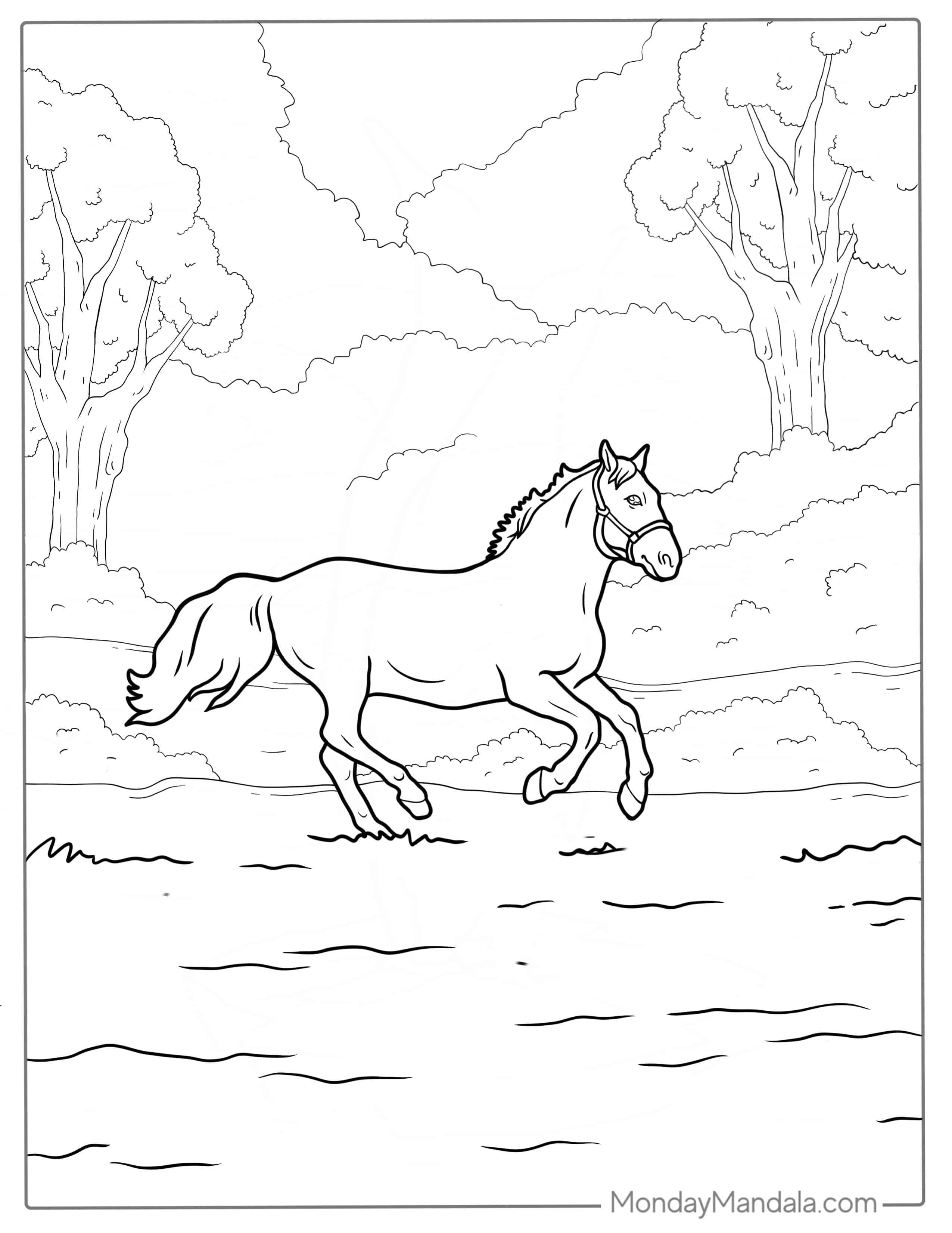 Horse Galloping In Field To Color coloring page — printable line art
