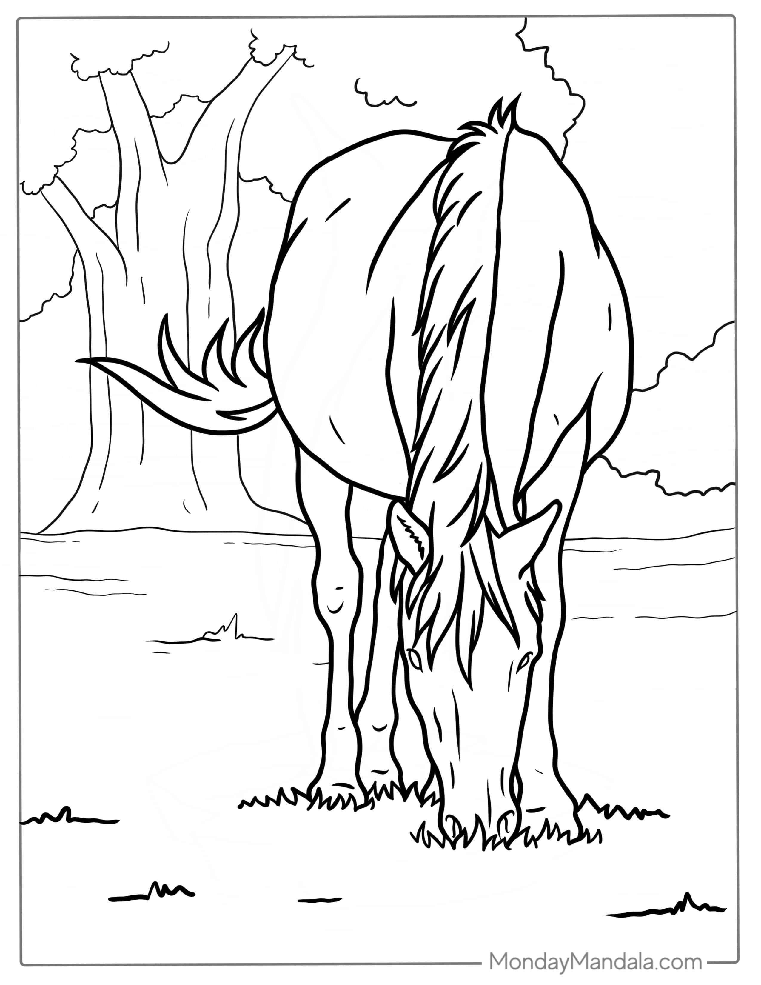 Horse Grazing On Grass In Paddock Coloring Sheet coloring page — printable line art