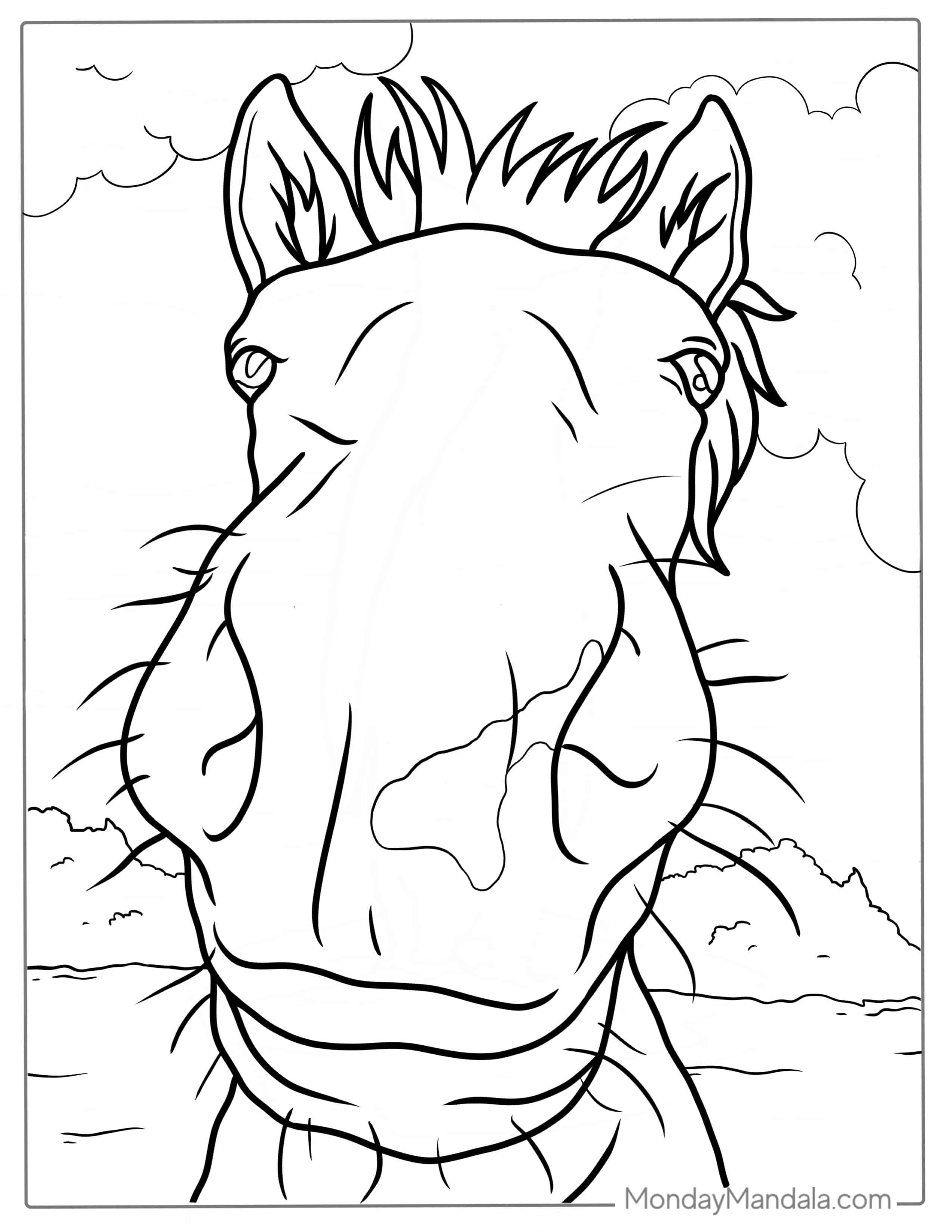 Horse Nose Coloring Sheet coloring page