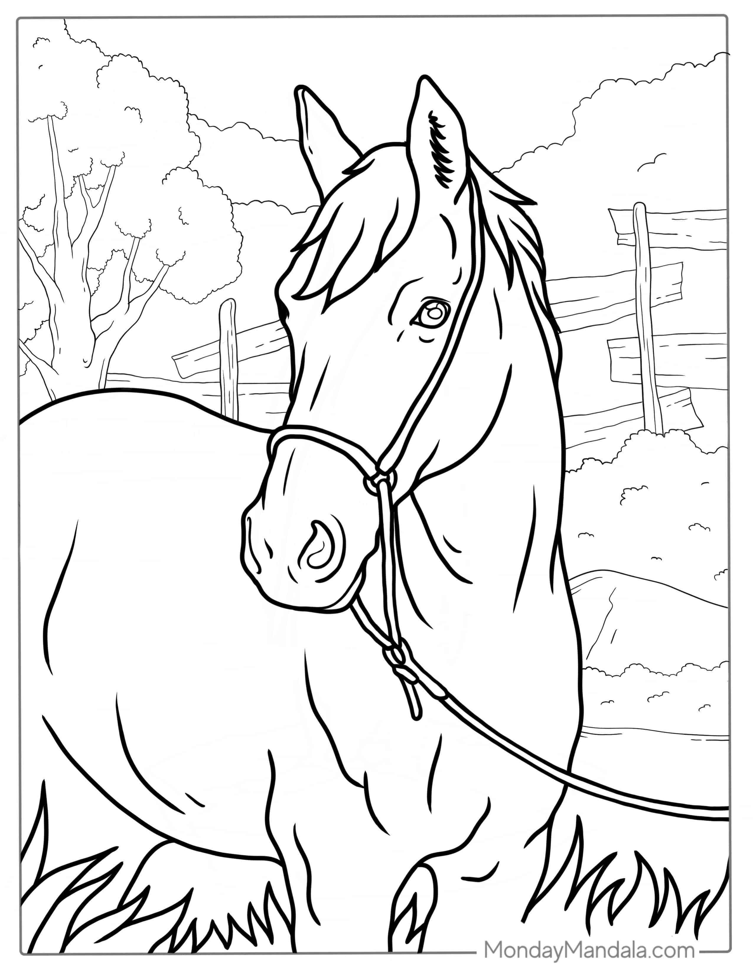 Horse Standing In Field Coloring Sheet coloring page — printable line art
