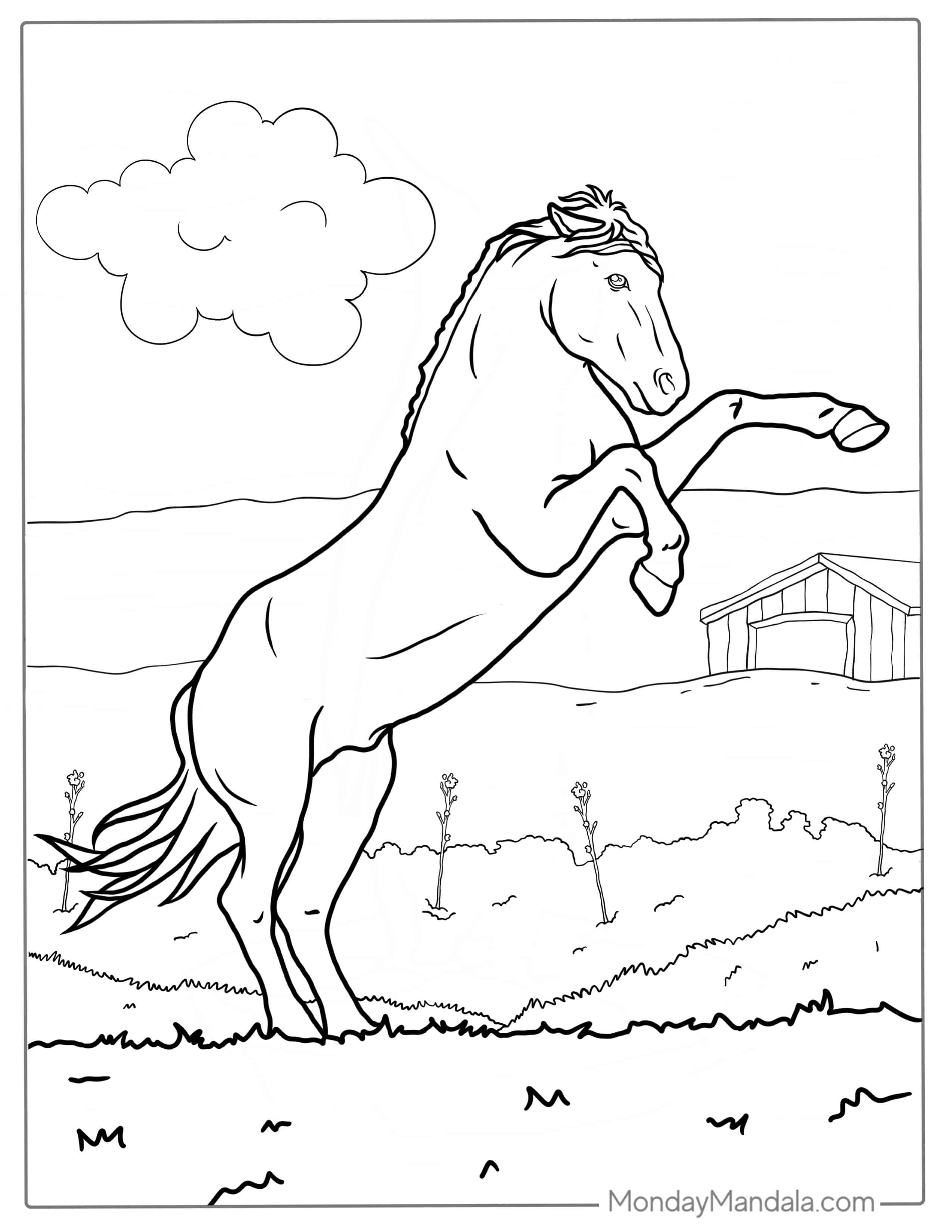 Horse Up On Hind Legs Coloring coloring page