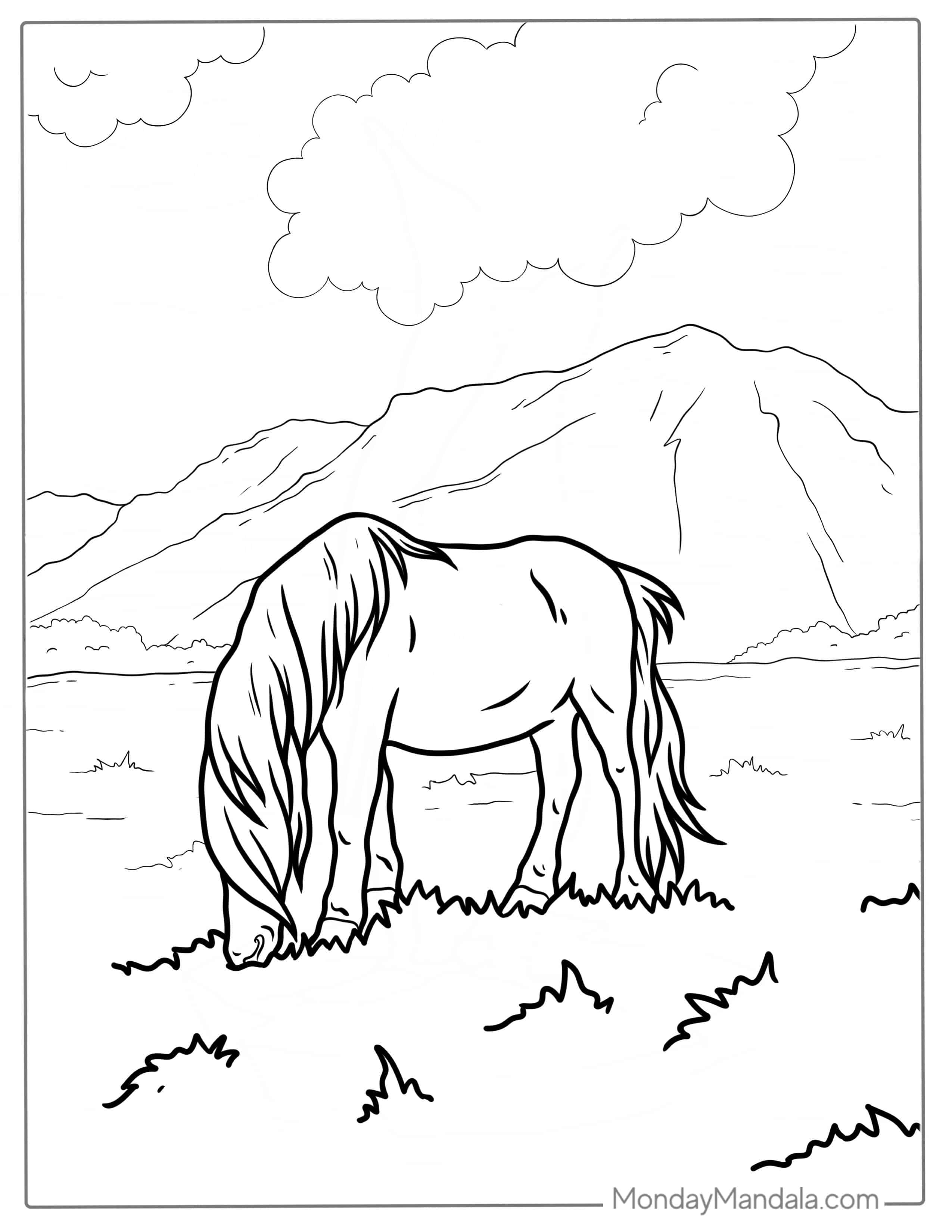 Miniature Horse Eating Grass In Pasture coloring page
