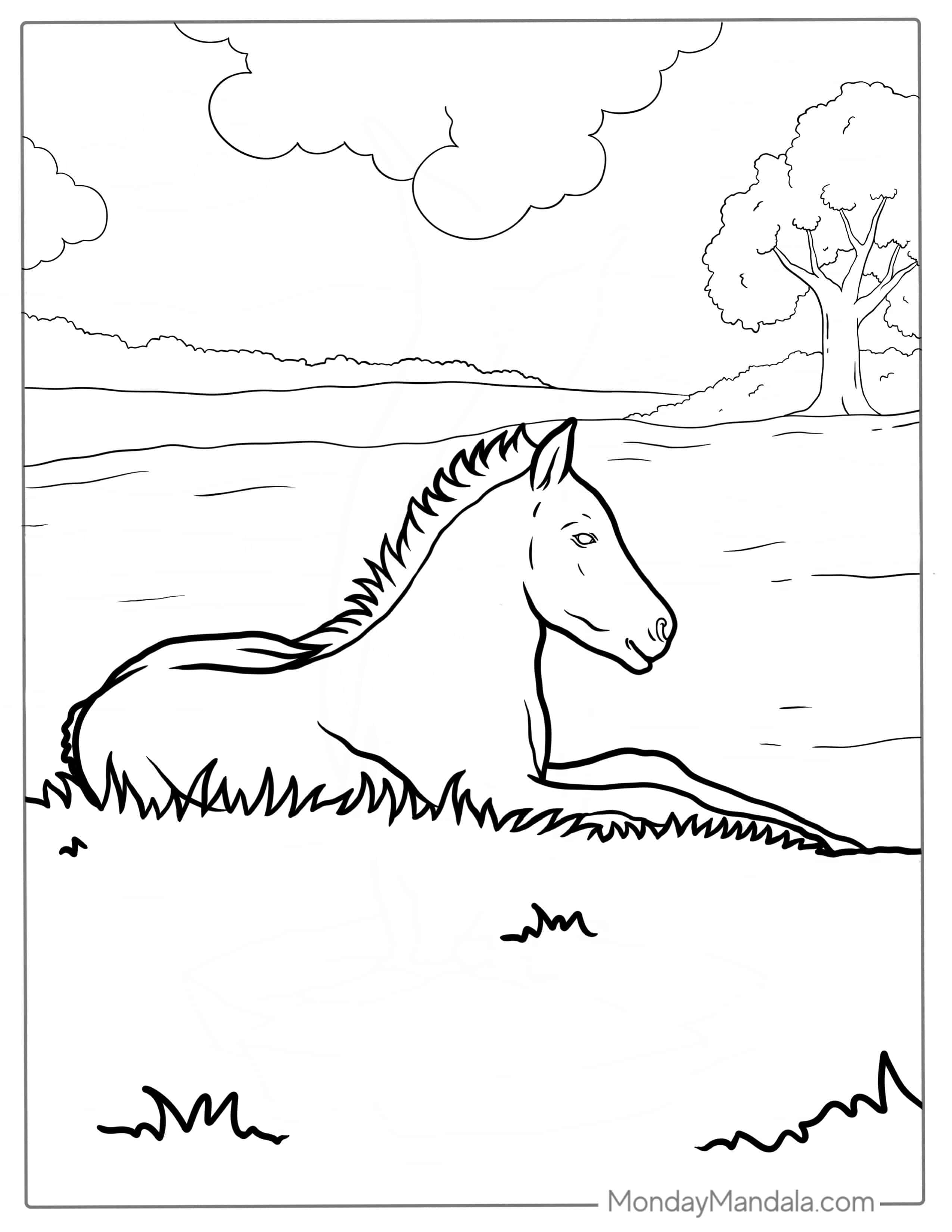 New Born Foal Resting On Grass To Color coloring page