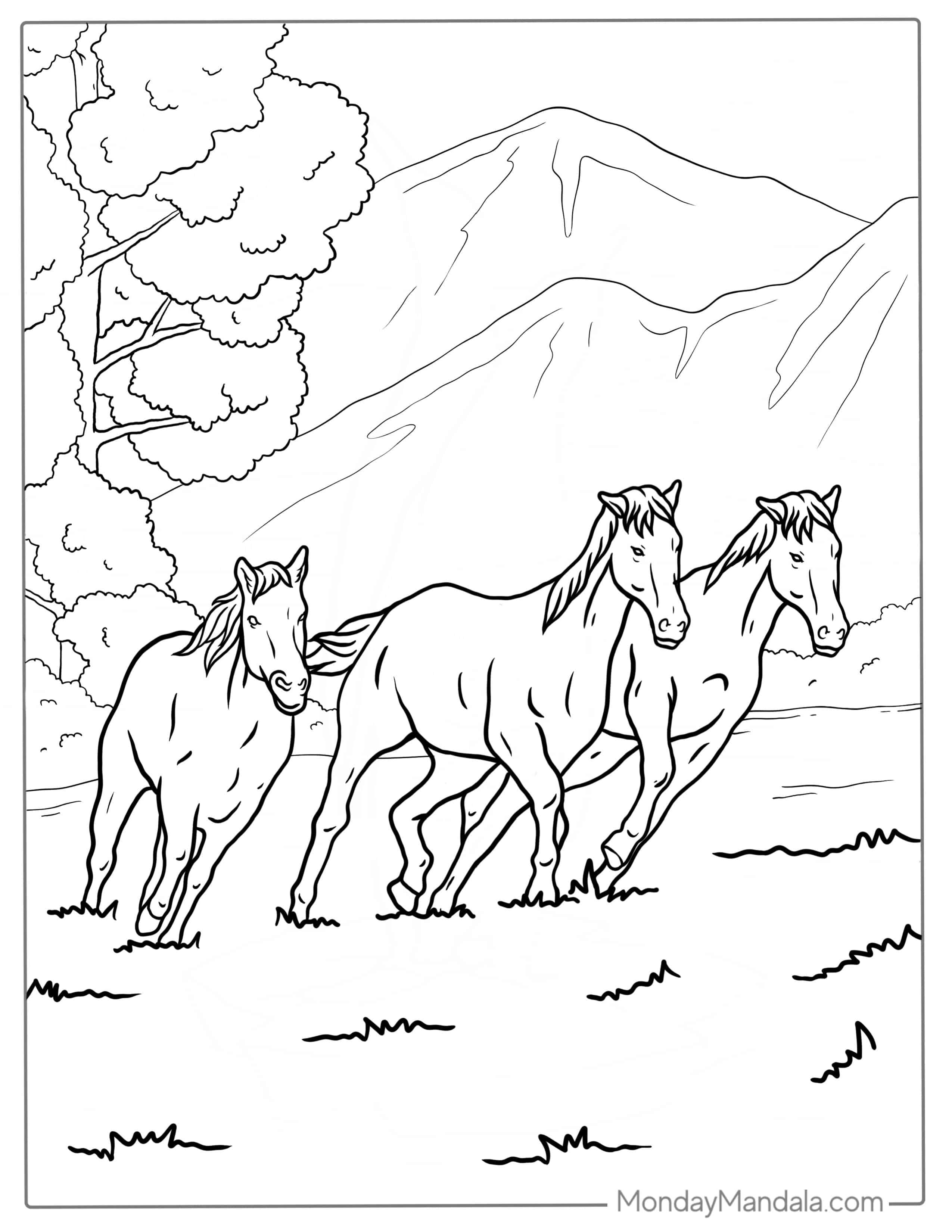 Three Brumby Horses To Color coloring page — printable line art