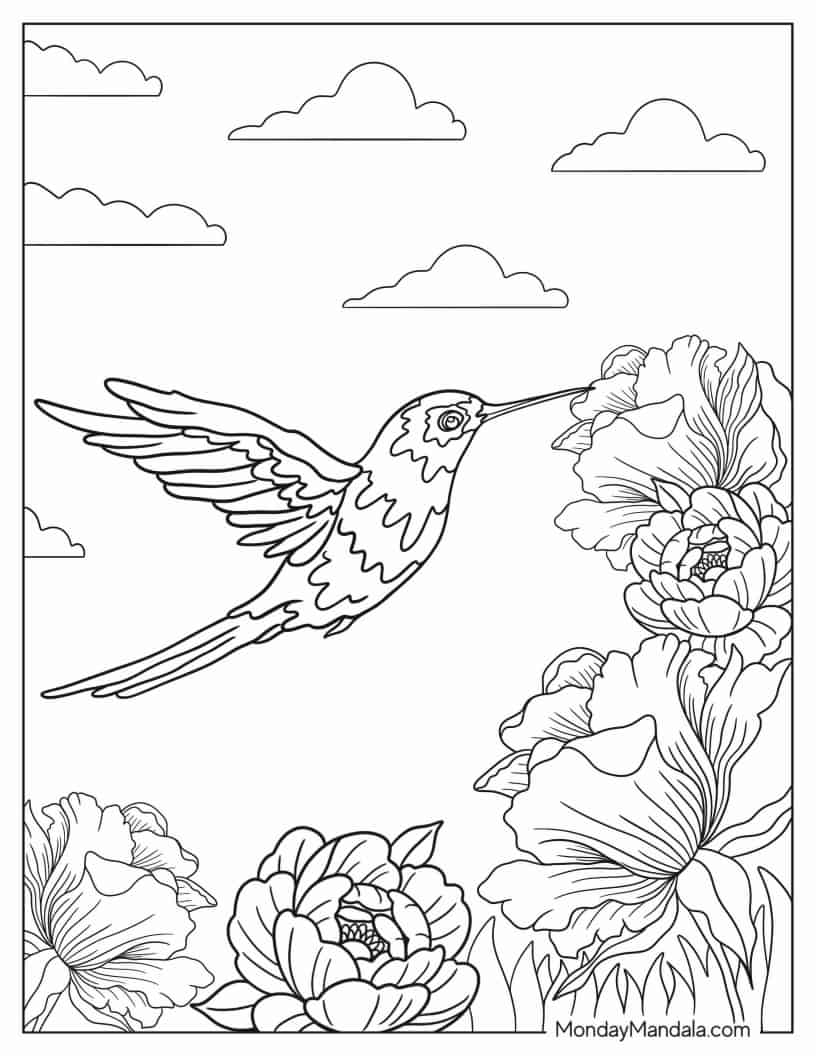 Coloring Page Of Realistic Hummingbird Flying coloring page
