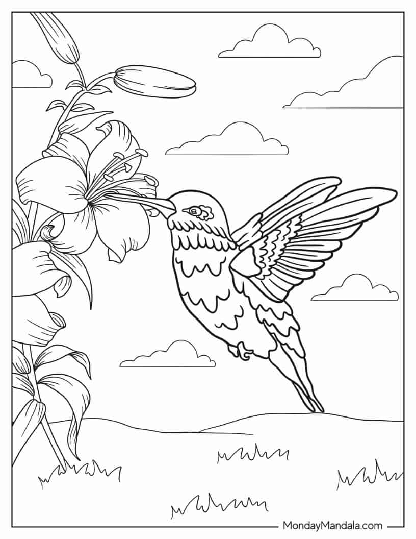 Detailed Hummingbird In The Air Coloring Page coloring page