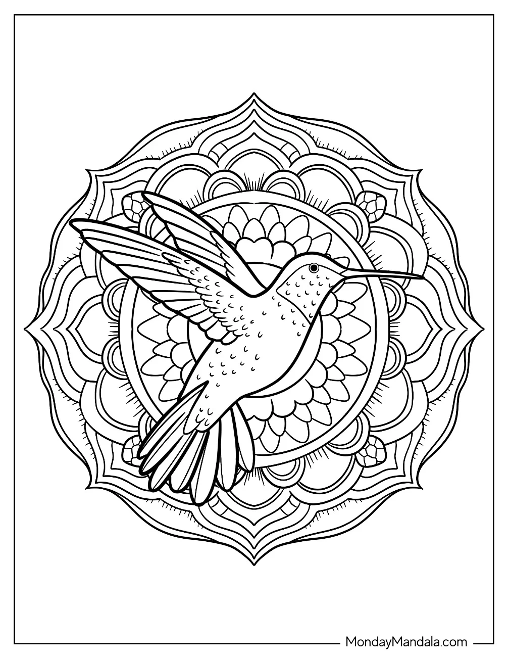 Elegant Hummingbird Coloring Page Mandala coloring page