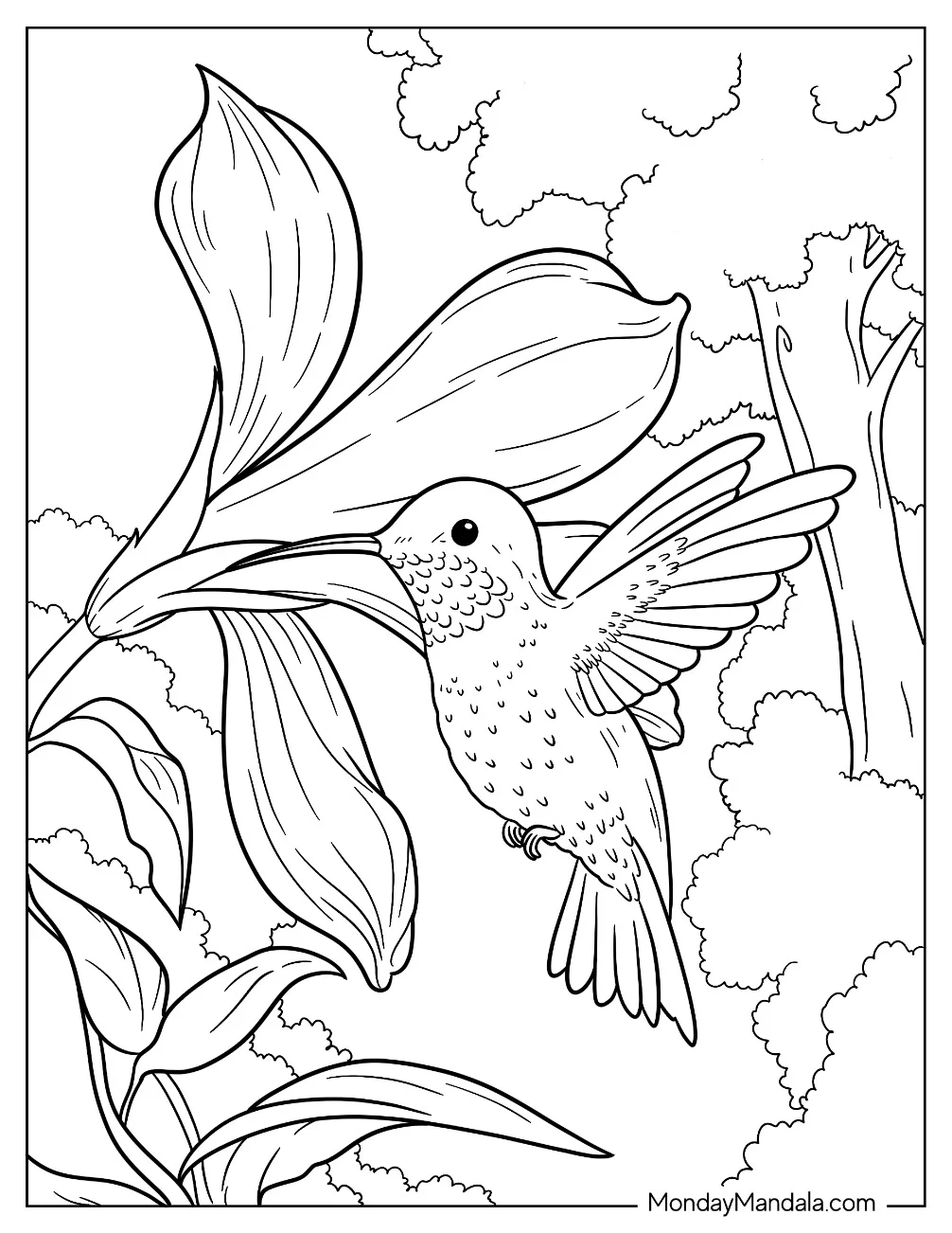 Hummingbird Coloring Page Sucking Nectar From Flower coloring page