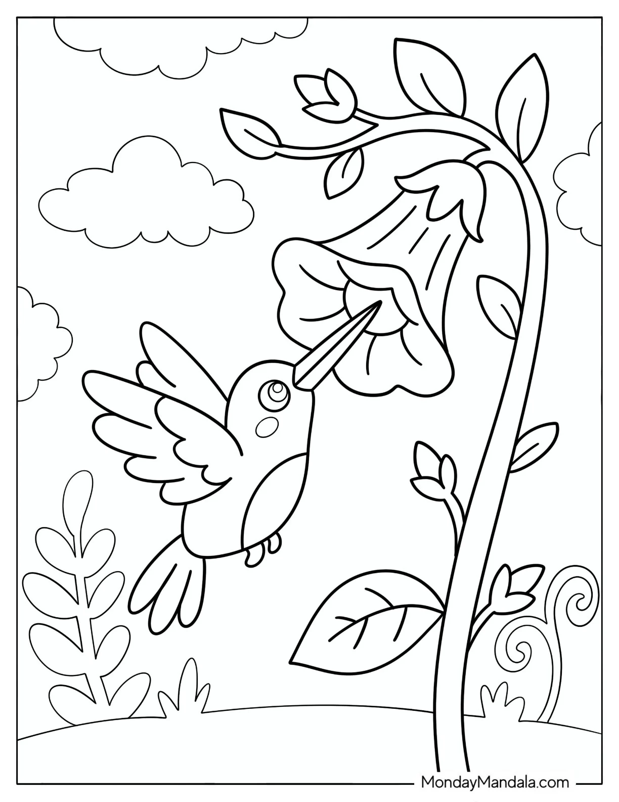 Hummingbird Feeding from a Hanging Trumpet Flower Coloring Page coloring page — printable line art