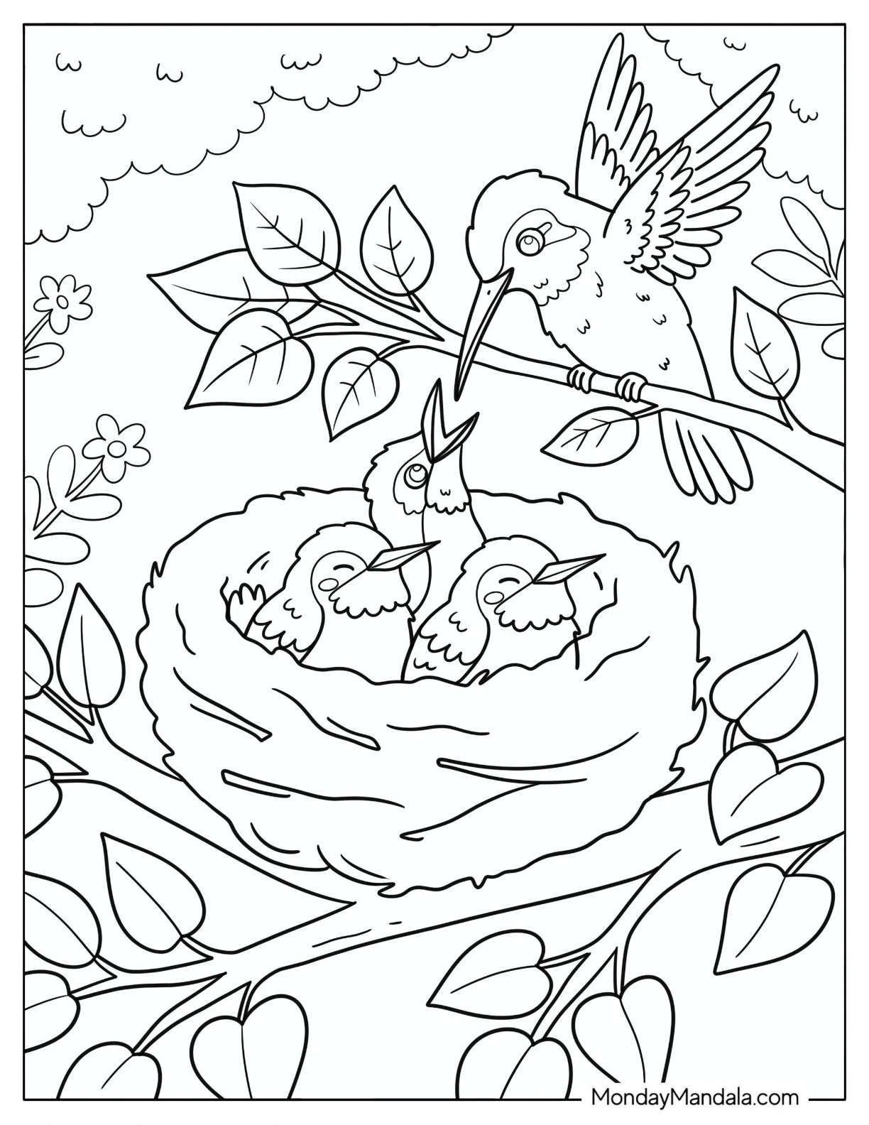 Hummingbird Feeding Its Chicks in a Nest Coloring Sheet coloring page — printable line art