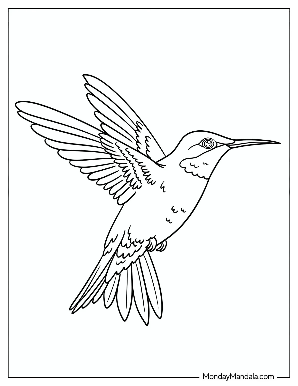 Hummingbird Hovering with Outstretched Wings coloring page