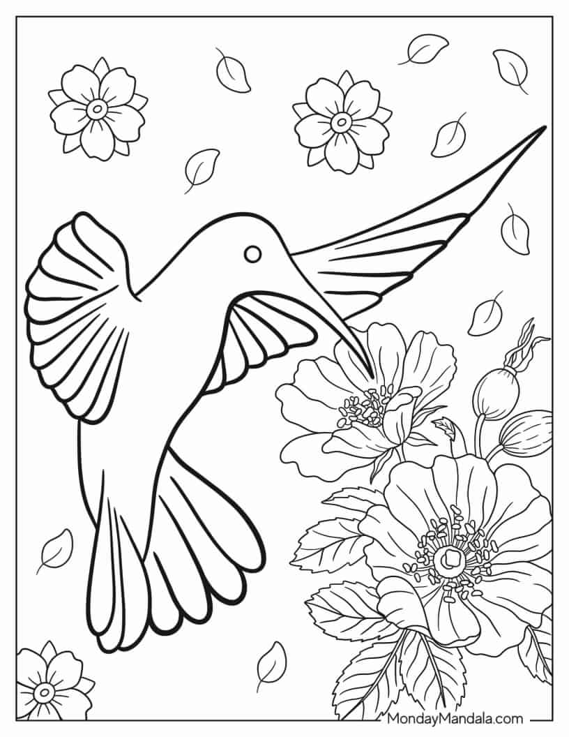 Simple Outline Of Hummingbird For Kids coloring page — printable line art