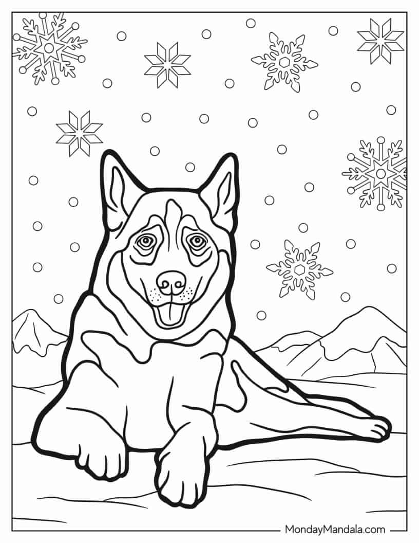 Adult Husky Resting In The Snow coloring page — printable line art