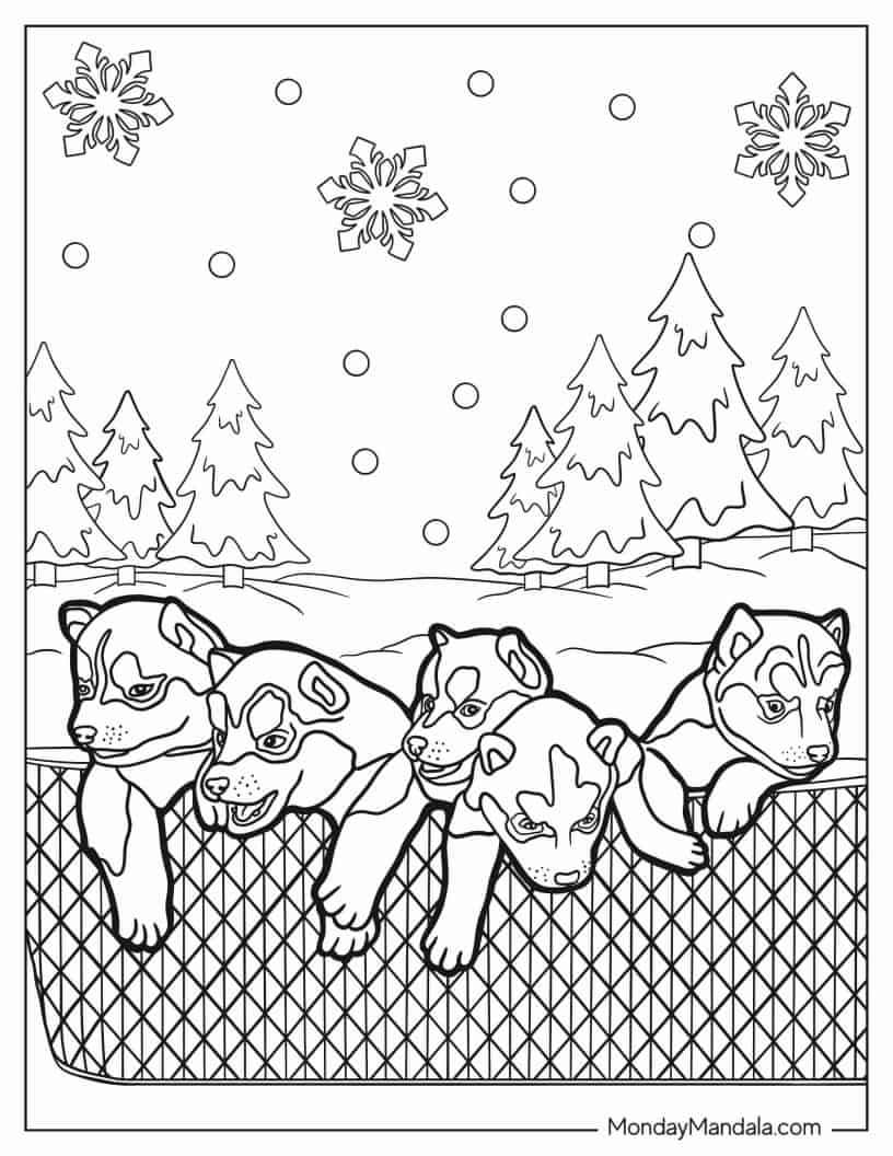 Cute Husky Puppies To Color coloring page