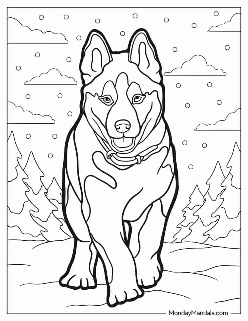 Cute Husky Puppy To Color coloring page