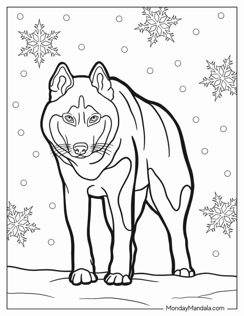 Fierce Looking Husky To Color coloring page