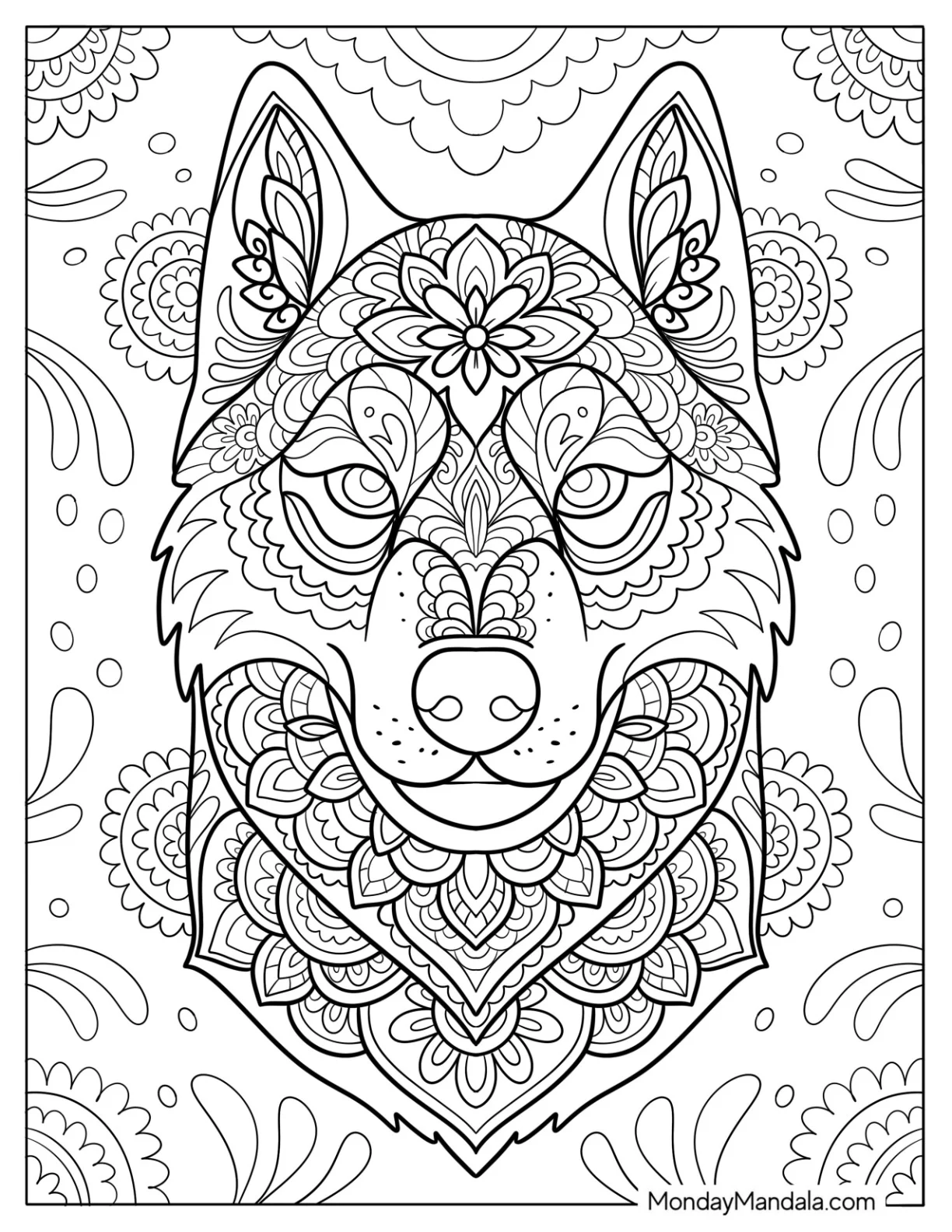 Majestic Husky Coloring Pages Mandala for Adults coloring page — printable line art