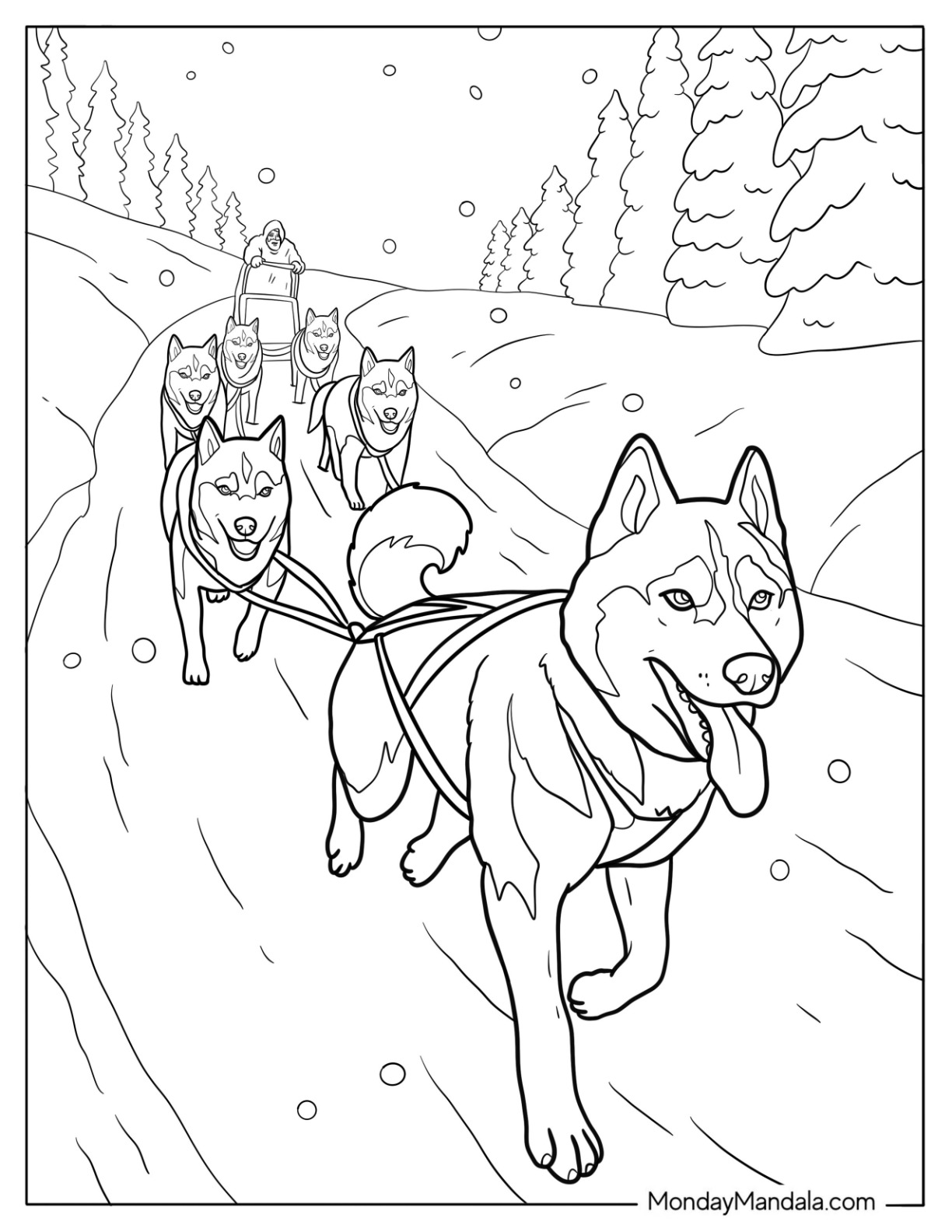 Musher Driving Husky Coloring Pages Sled Team In Race coloring page — printable line art