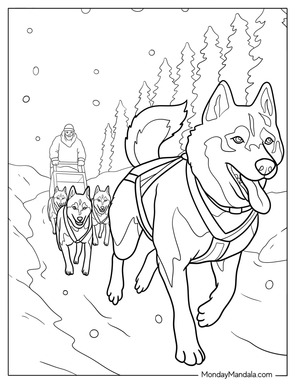Realistic Husky Coloring Pages Sled Team in Winter coloring page — printable line art