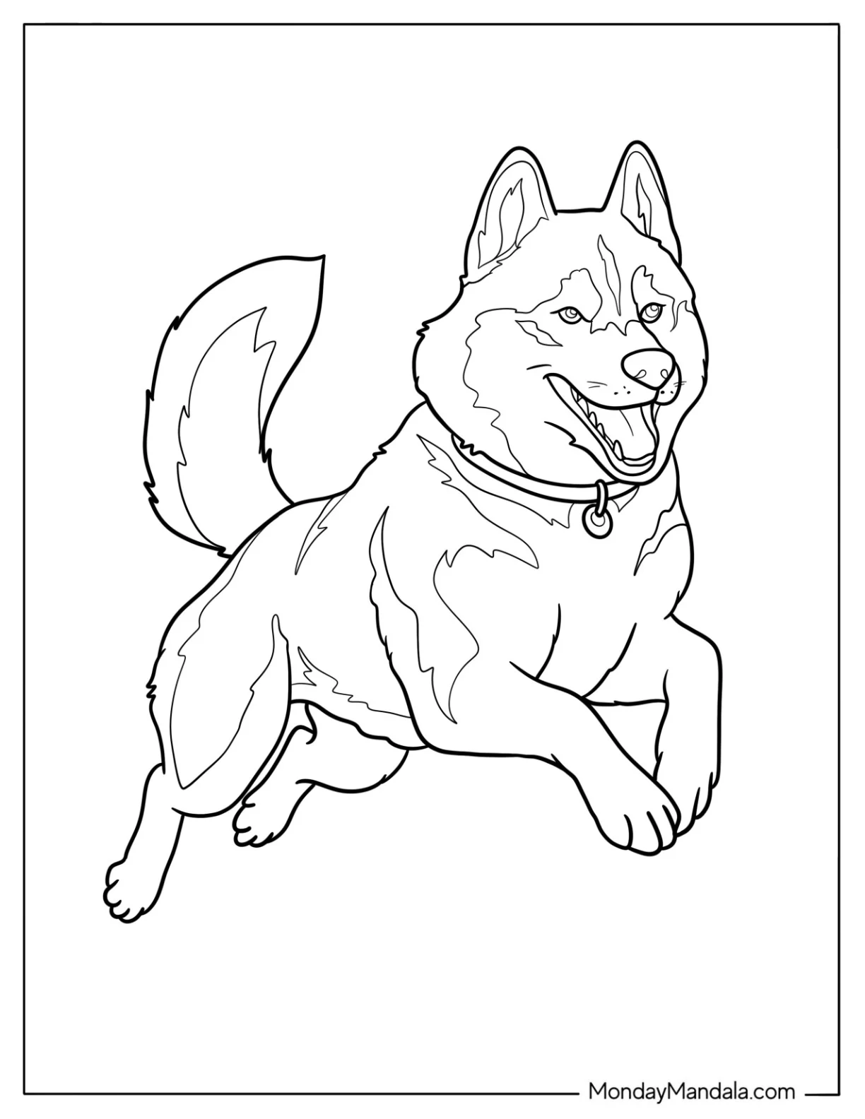 Realistic Husky Coloring Pages with Collar in Mid Leap coloring page