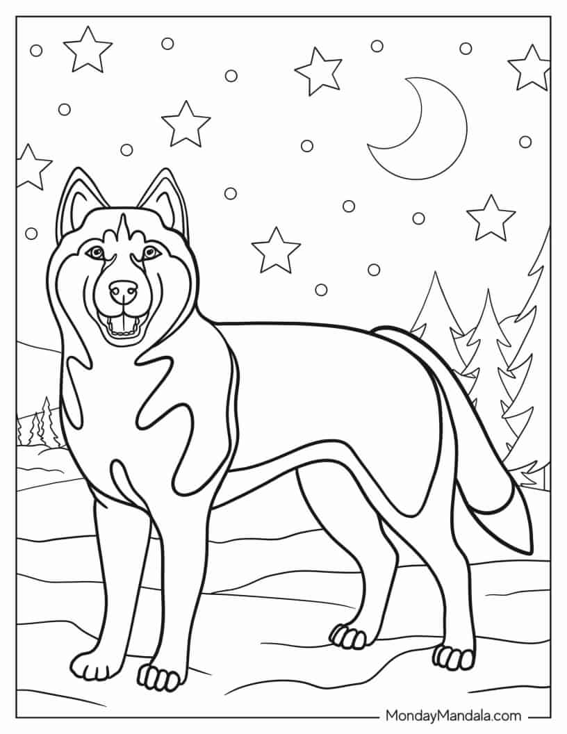 Realistic Looking Siberian Husky coloring page — printable line art