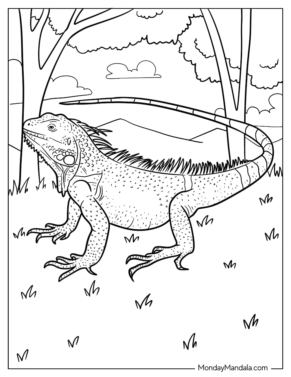 Big Iguana Coloring Page With Scaly Skin And Pointed Tail coloring page — printable line art