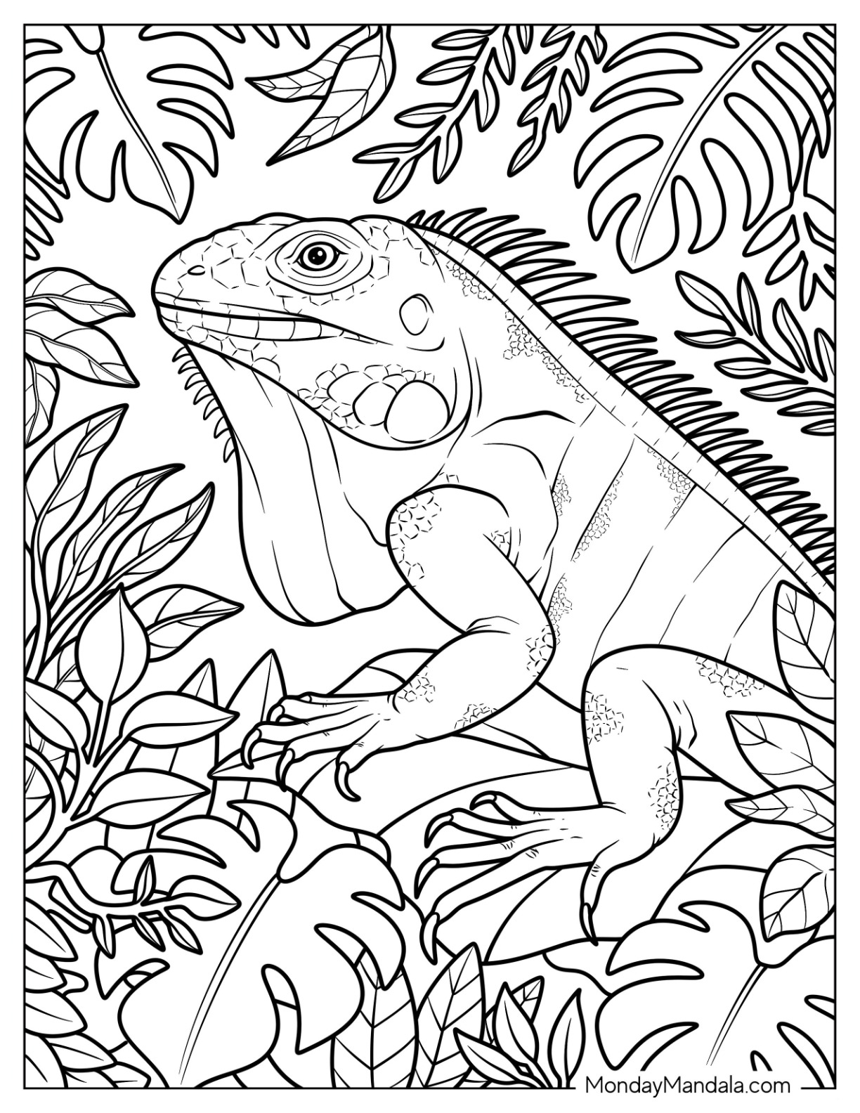 Close Up of Iguana Coloring Page in the Jungle coloring page